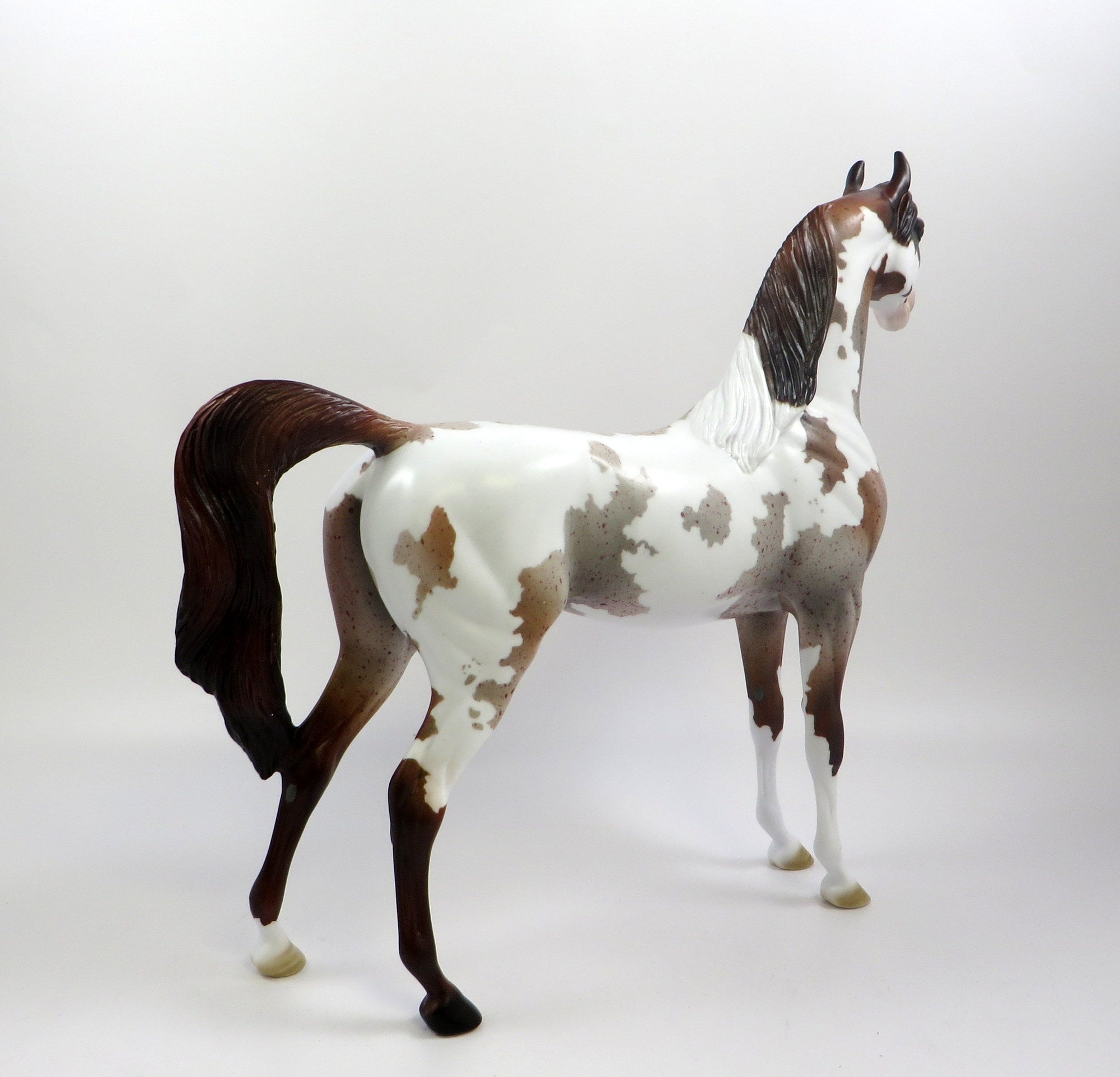 EDINBURGH -OOAK CHESTNUT ROAN PINTO ARABIAN MODEL EQ 2019