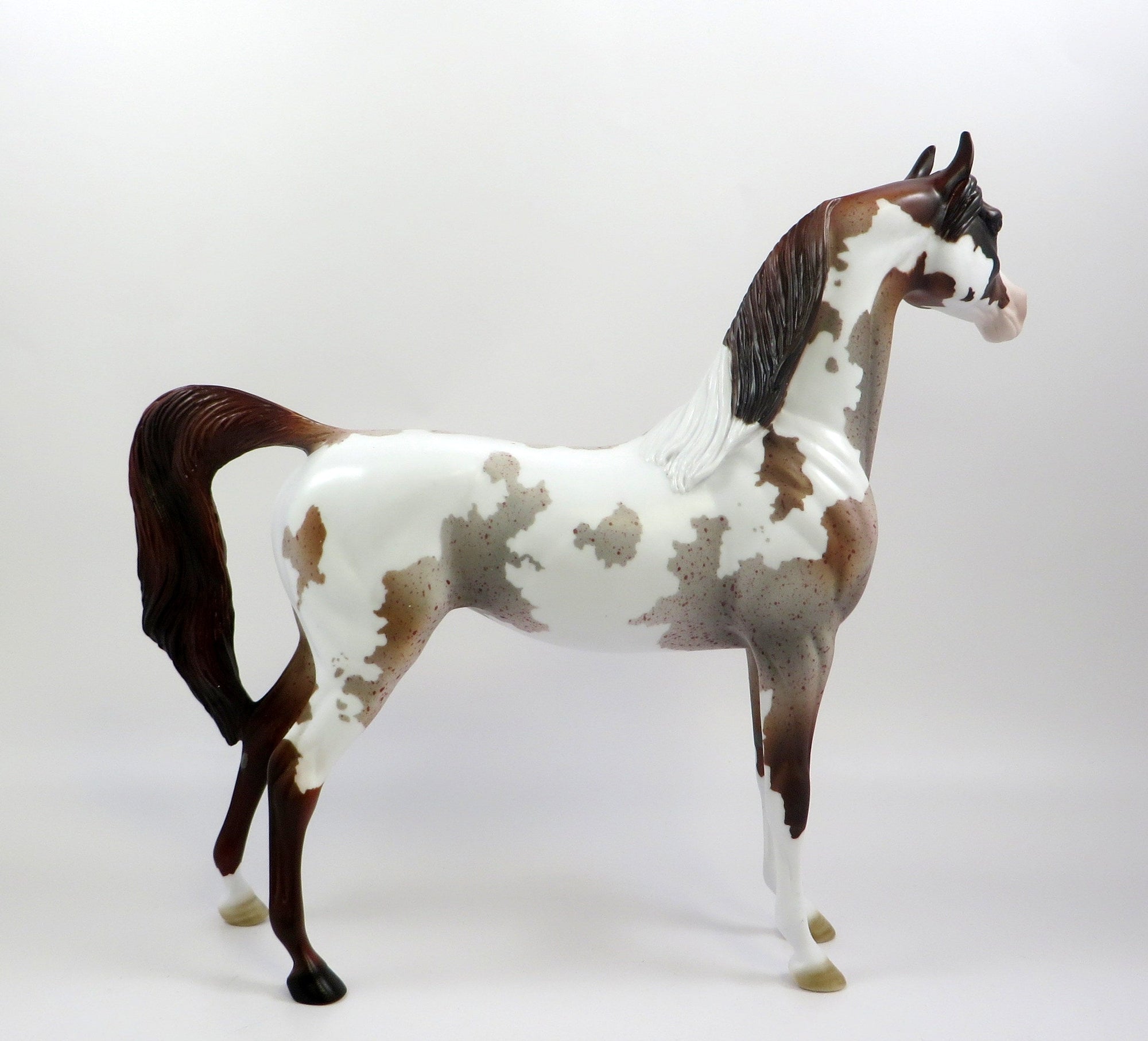 EDINBURGH -OOAK CHESTNUT ROAN PINTO ARABIAN MODEL EQ 2019