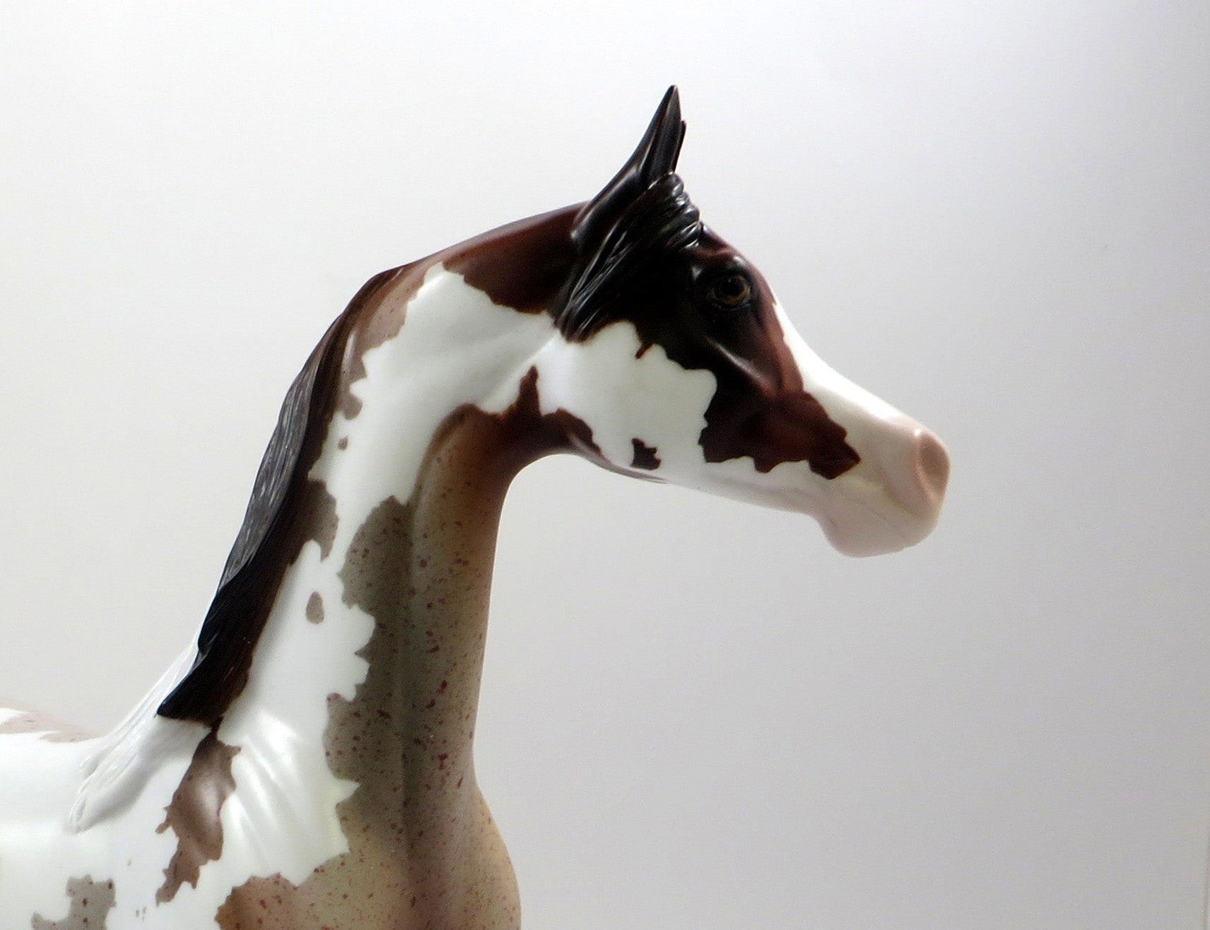 EDINBURGH -OOAK CHESTNUT ROAN PINTO ARABIAN MODEL EQ 2019