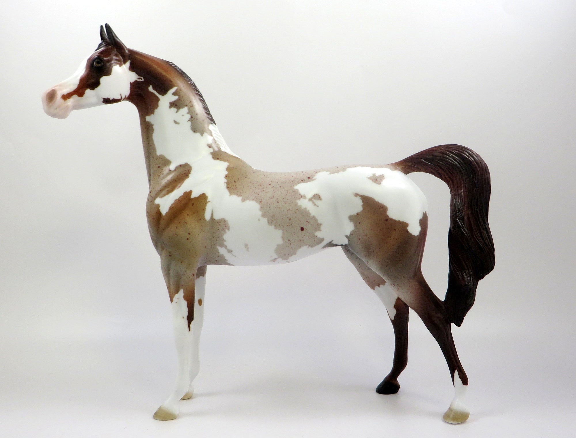 EDINBURGH -OOAK CHESTNUT ROAN PINTO ARABIAN MODEL EQ 2019
