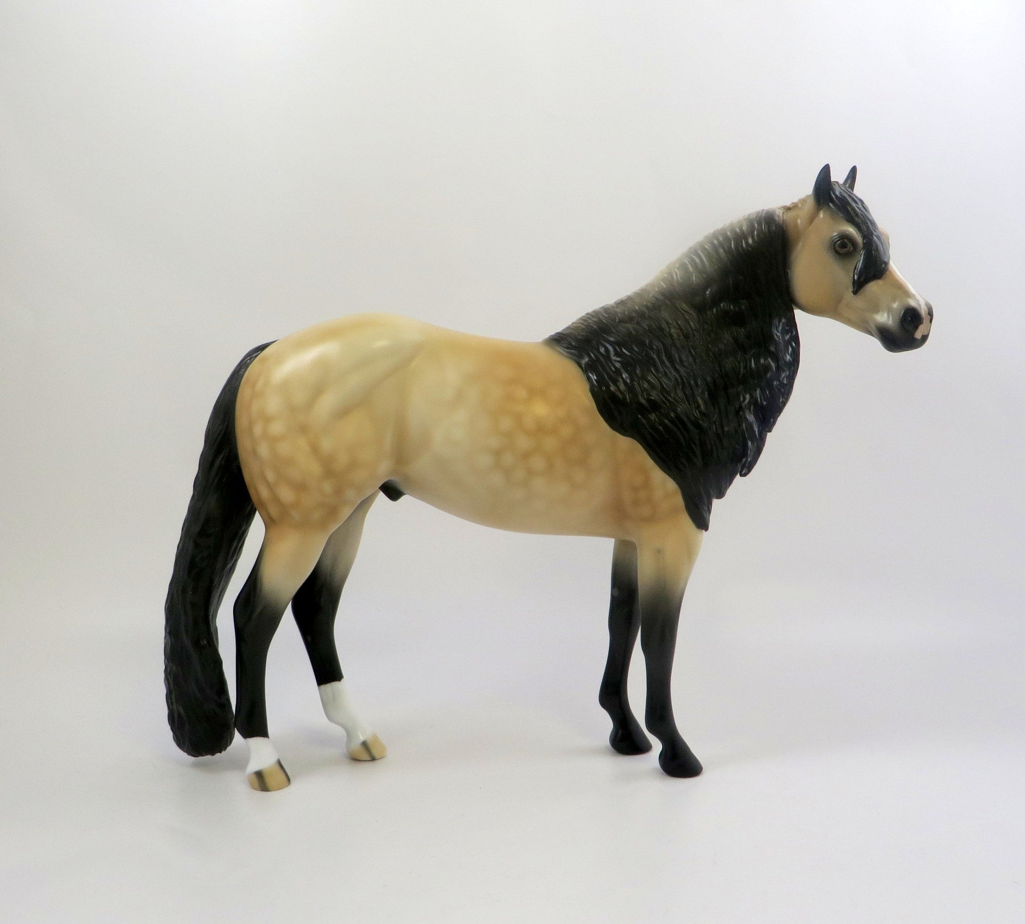 buckskin