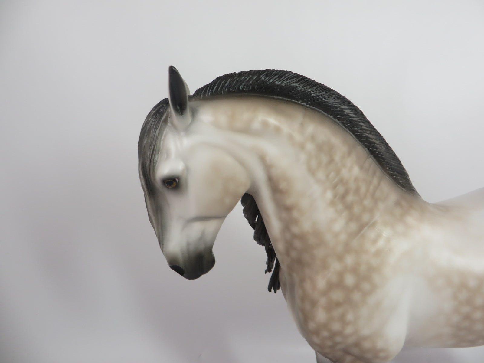 EDMUND-OOAK ROSE GREY ANDALUSIAN MODEL HORSE BY SHERYL LEISURE WHS 19