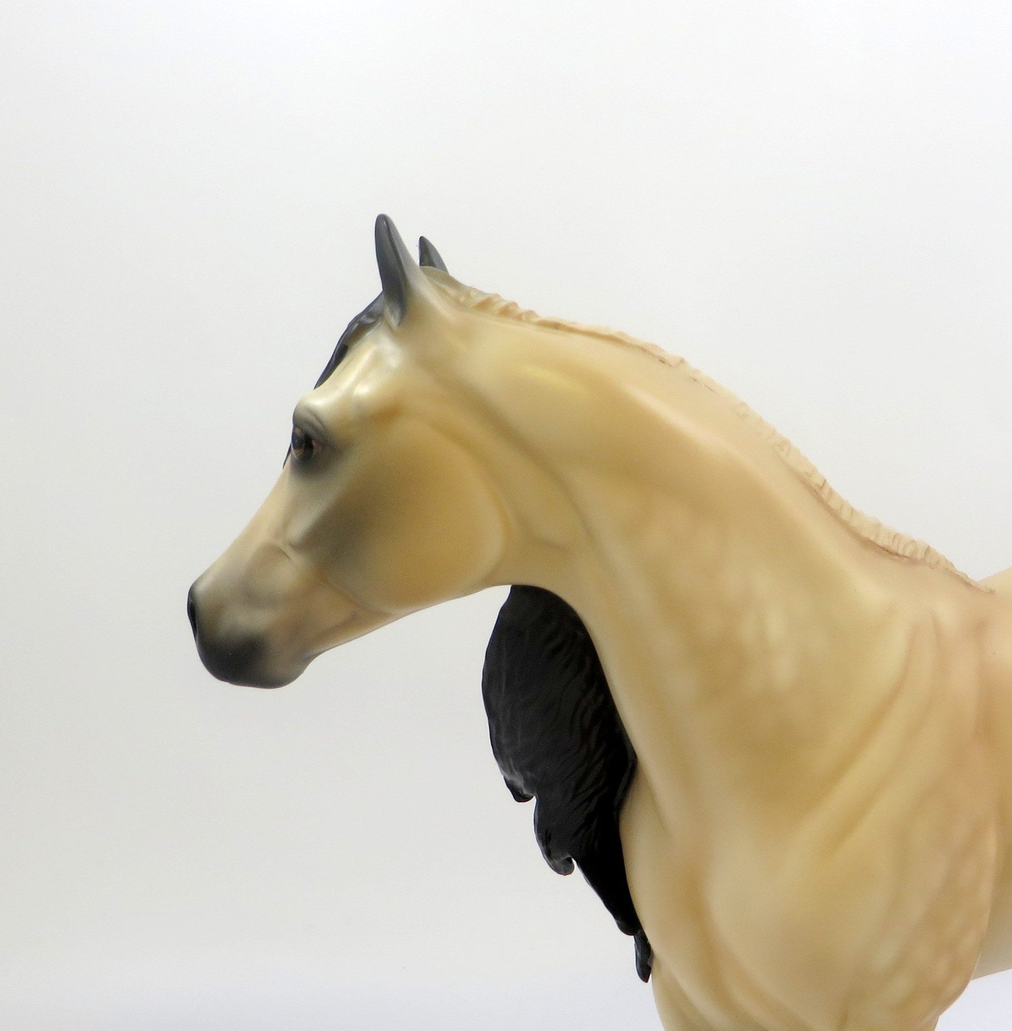 EDMUND-OOAK DAPPLE BUCKSKIN ISH MODEL HORSE EQ 2019