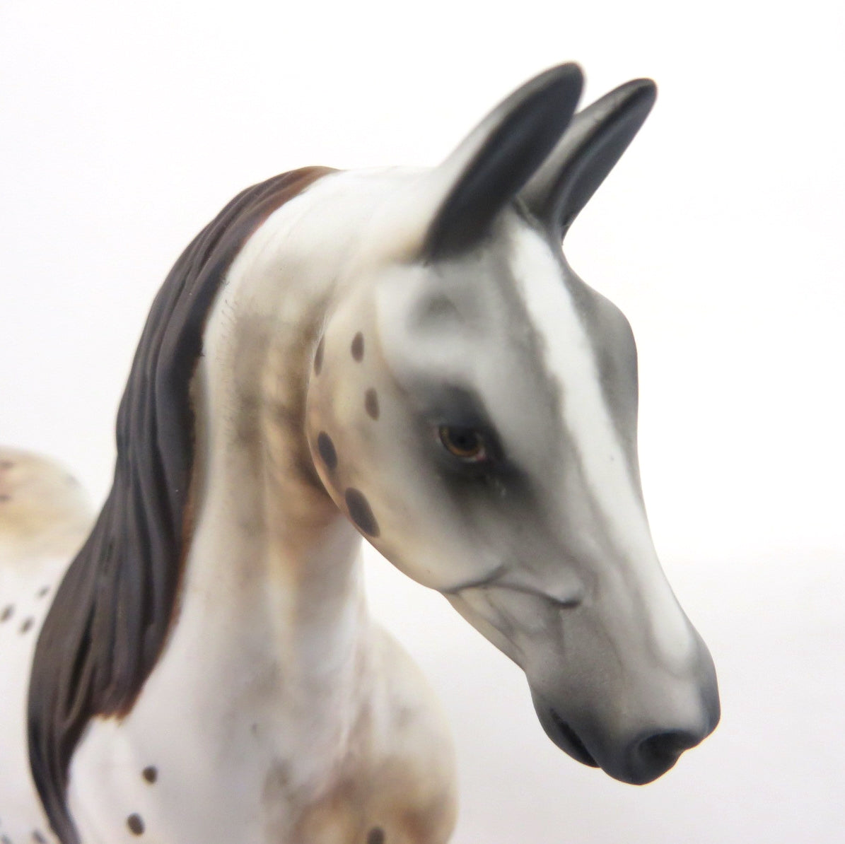 EGG NOG-OOAK APPALOOSA SADDLEBRED MODEL HORSE WHS 19