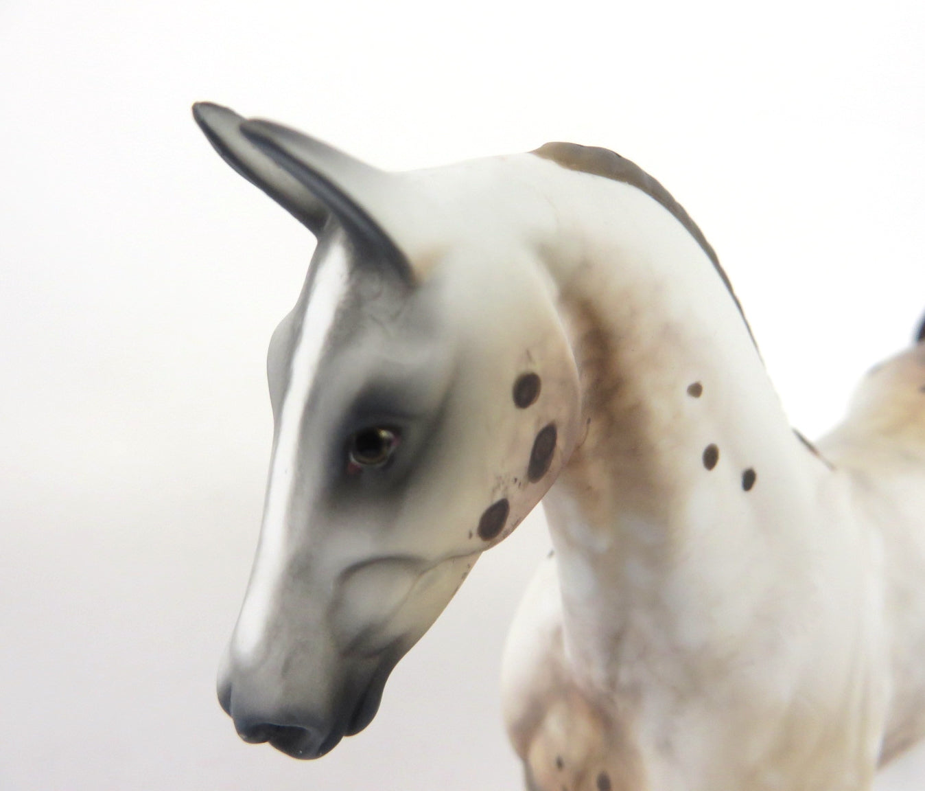 EGG NOG-OOAK APPALOOSA SADDLEBRED MODEL HORSE WHS 19