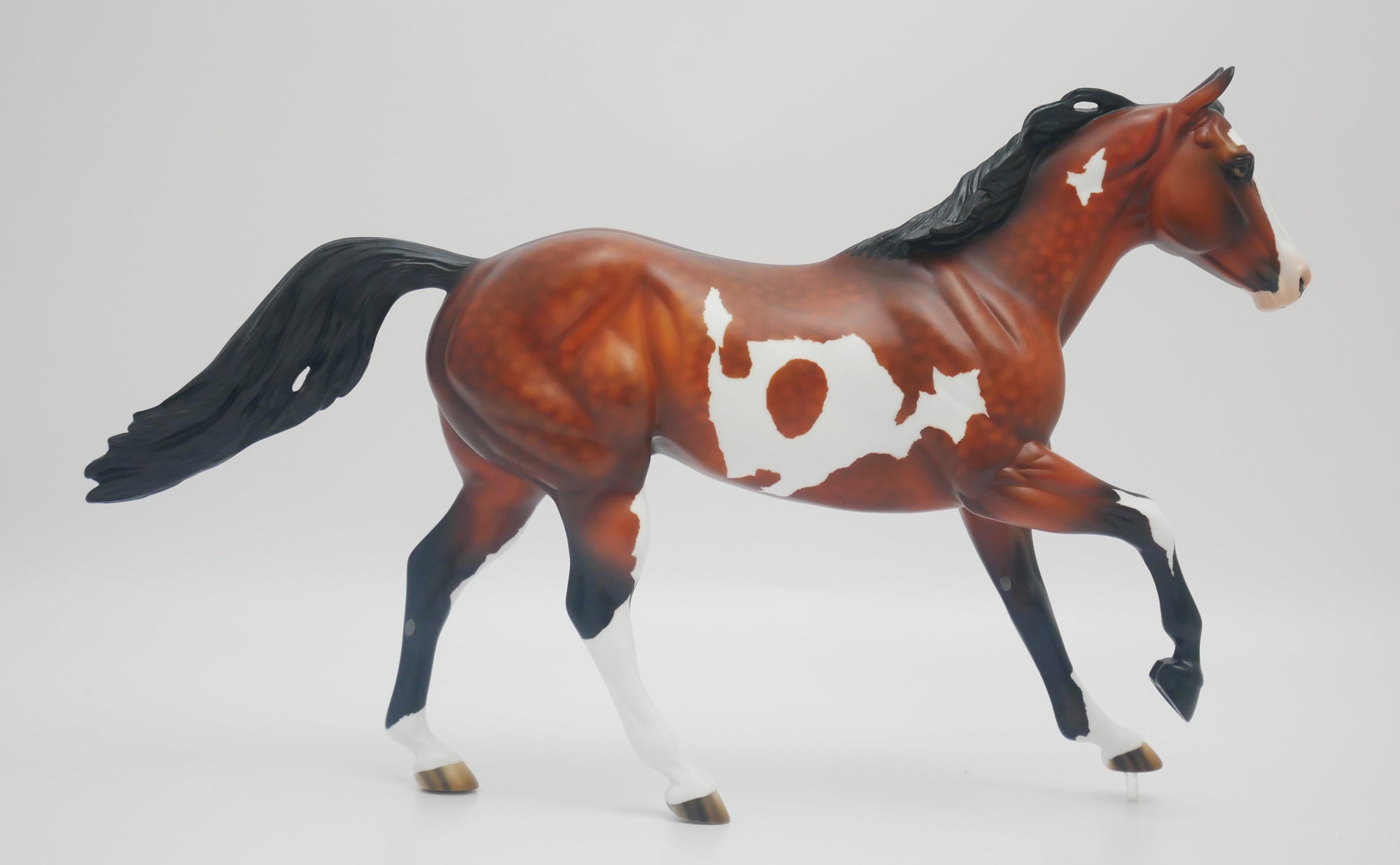 EL PASO - OOAK DAPPLE BAY PINTO FOUNDATION QUARTER HORSE BY AUDREY DIXON 3/16/20