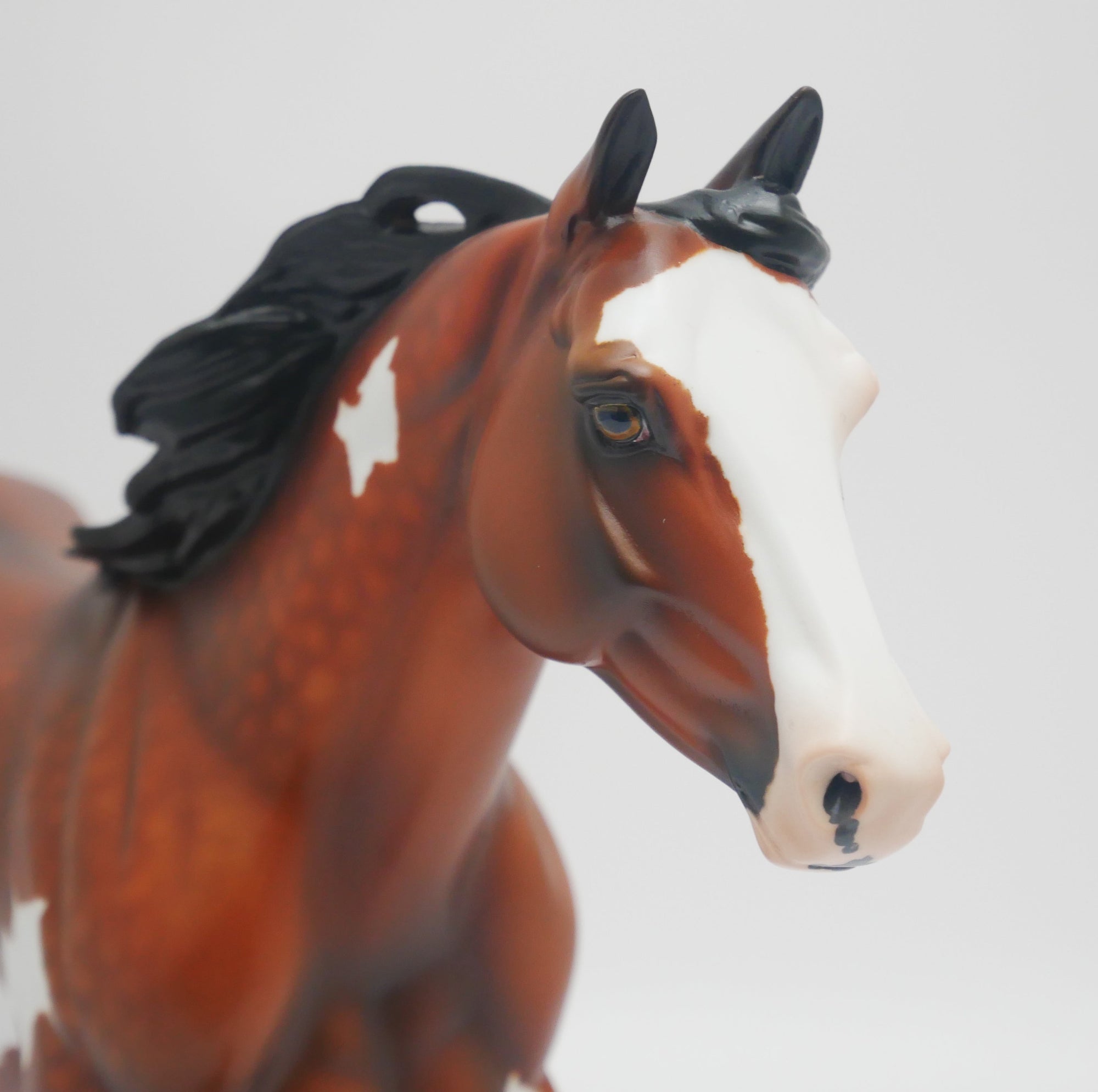 EL PASO - OOAK DAPPLE BAY PINTO FOUNDATION QUARTER HORSE BY AUDREY DIXON 3/16/20