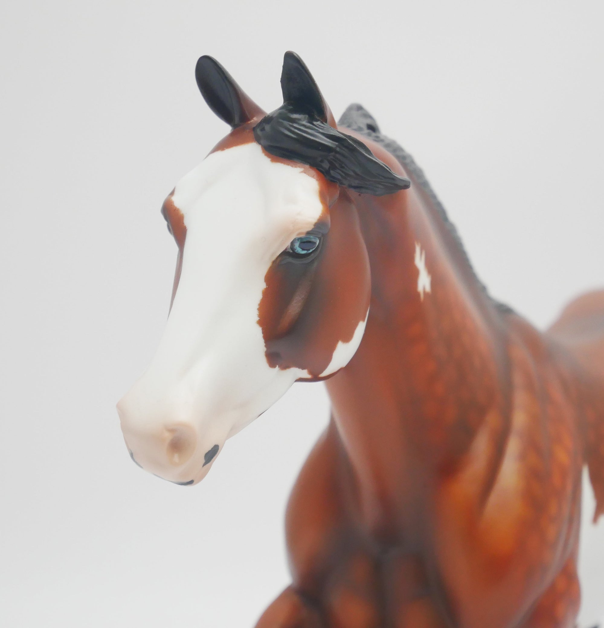 EL PASO - OOAK DAPPLE BAY PINTO FOUNDATION QUARTER HORSE BY AUDREY DIXON 3/16/20