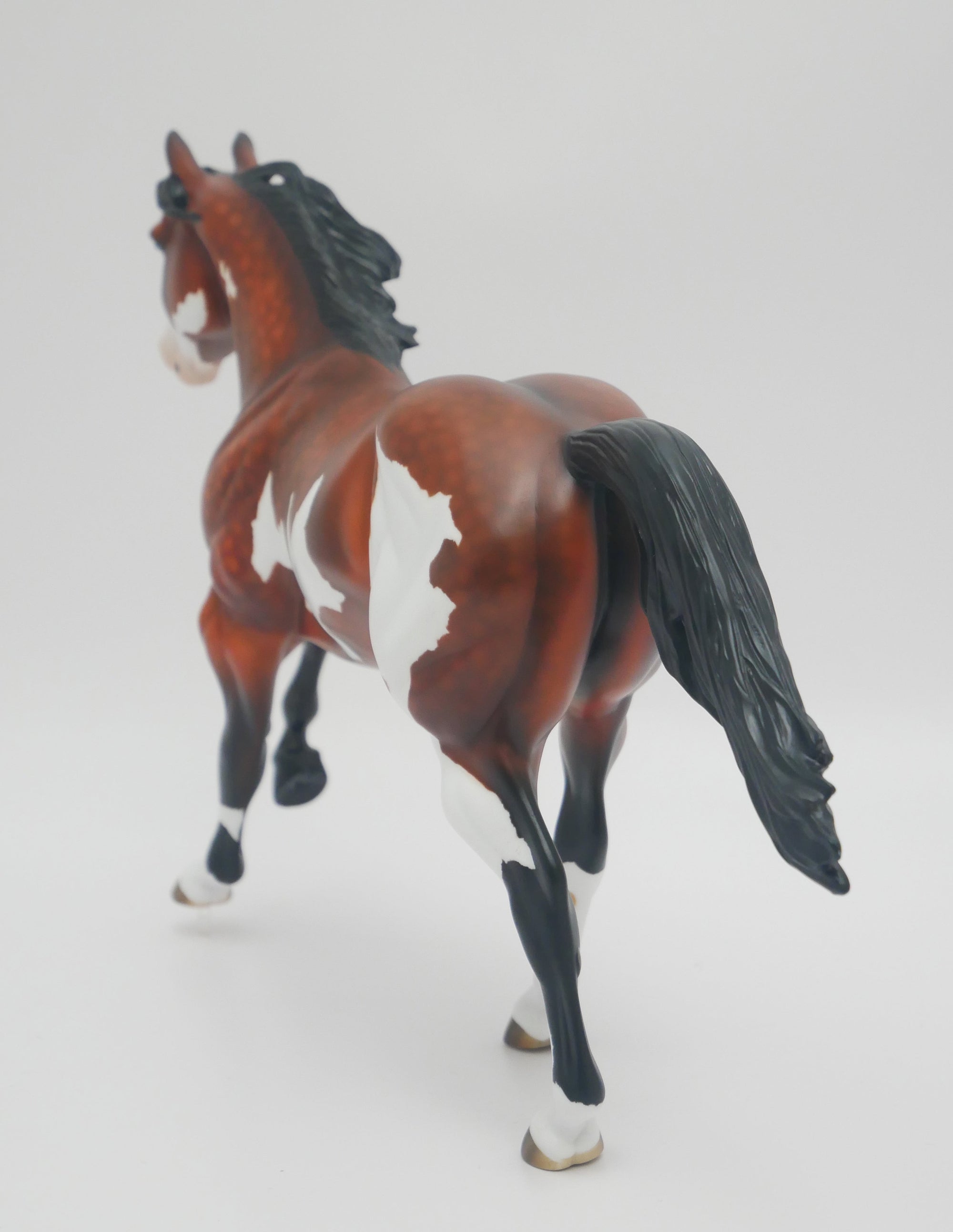 EL PASO - OOAK DAPPLE BAY PINTO FOUNDATION QUARTER HORSE BY AUDREY DIXON 3/16/20