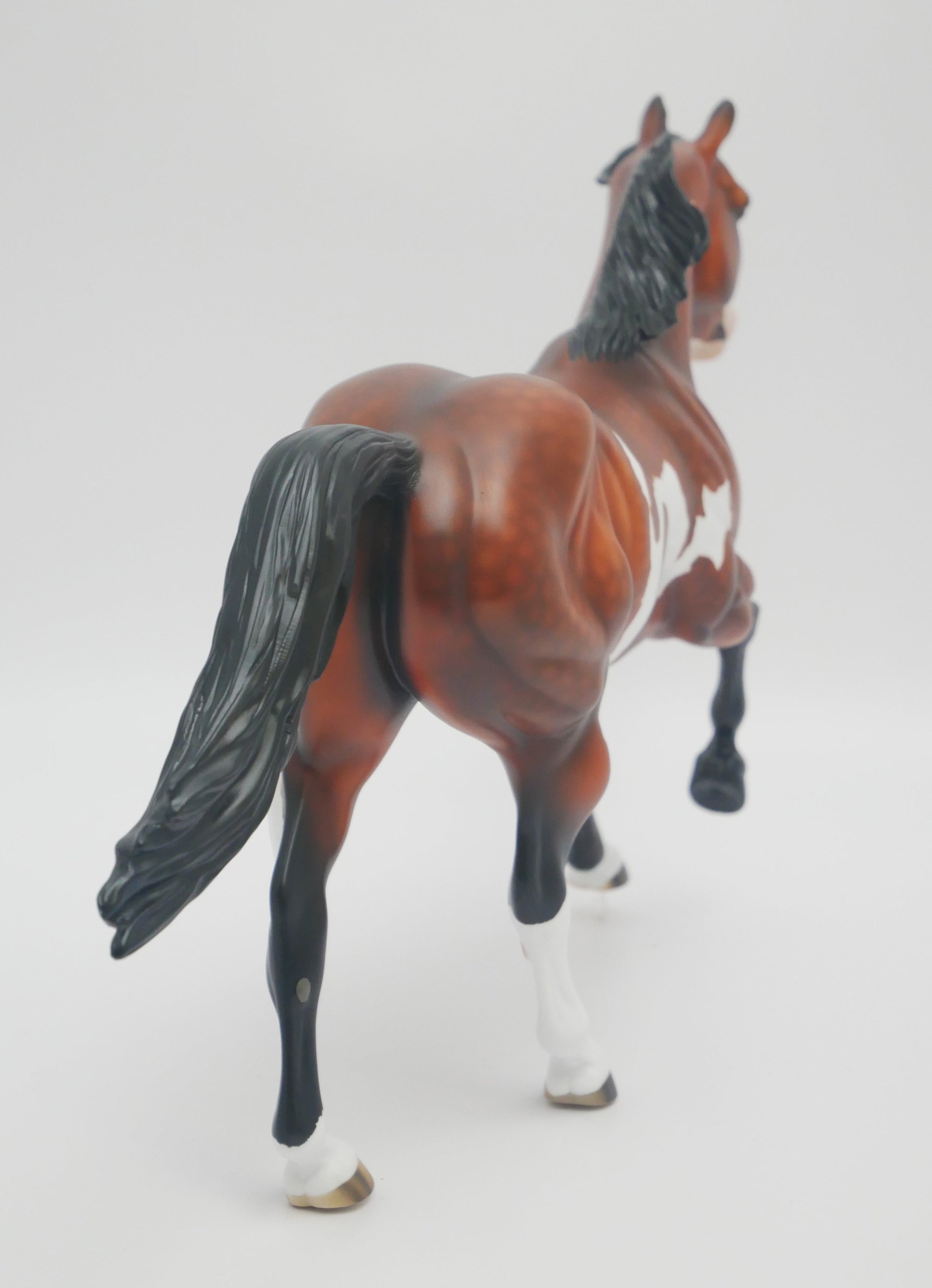 EL PASO - OOAK DAPPLE BAY PINTO FOUNDATION QUARTER HORSE BY AUDREY DIXON 3/16/20