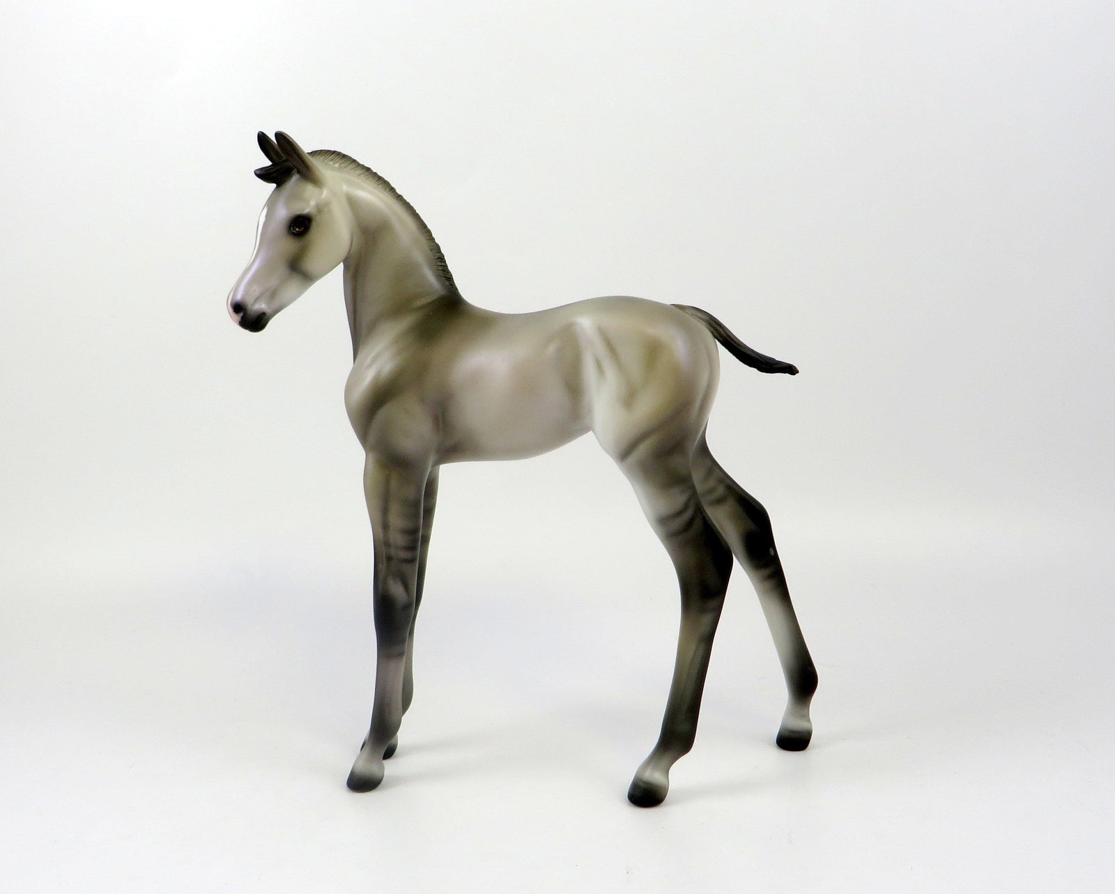 ELIS-OOAK GRULLA  ARAB FOAL MODEL HORSE EQ 19