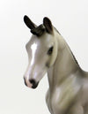 ELIS-OOAK GRULLA  ARAB FOAL MODEL HORSE EQ 19
