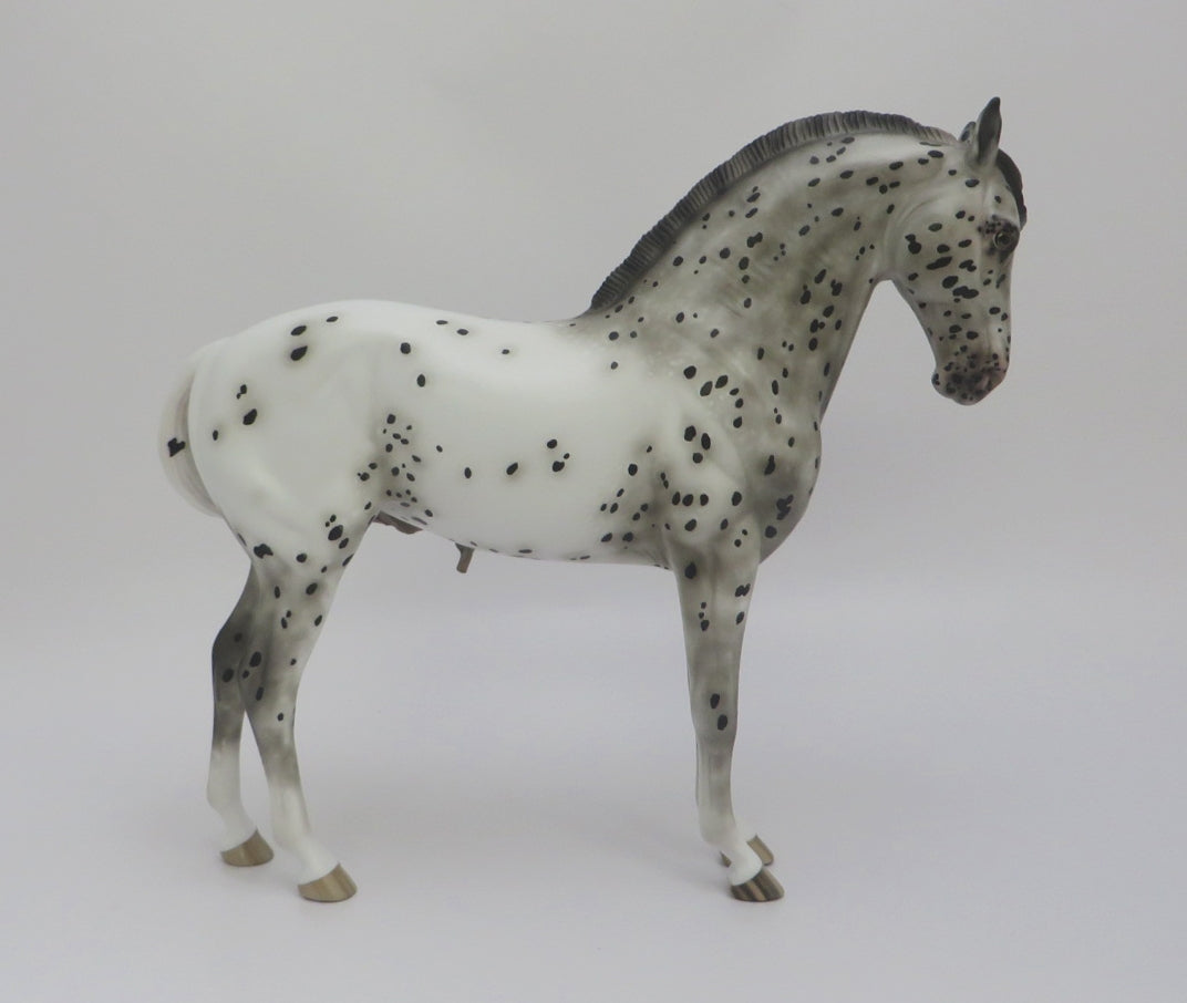 ELLE M&#39;A LARGUE- OOAK BLACK APPALOOSA ANDALUSIAN BY SHERYL LEISURE 3/4/20
