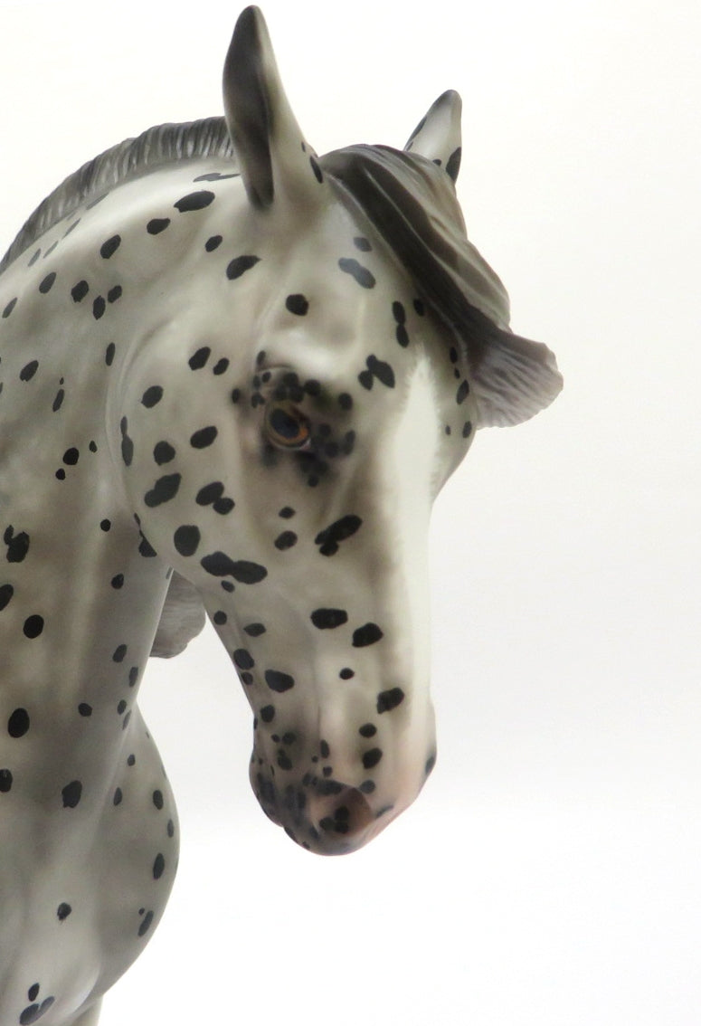 ELLE M&#39;A LARGUE- OOAK BLACK APPALOOSA ANDALUSIAN BY SHERYL LEISURE 3/4/20