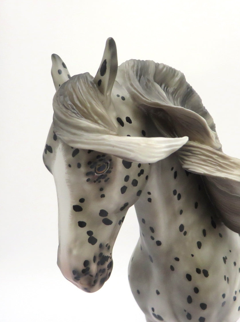 ELLE M&#39;A LARGUE- OOAK BLACK APPALOOSA ANDALUSIAN BY SHERYL LEISURE 3/4/20