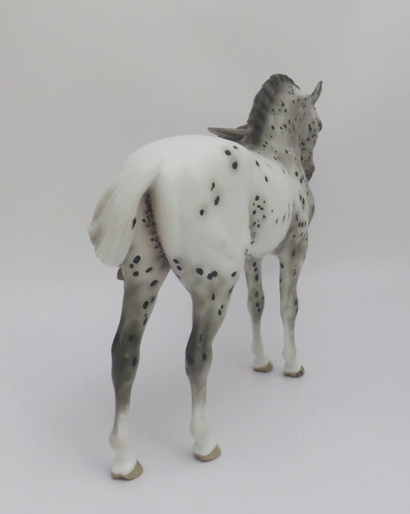 ELLE M&#39;A LARGUE- OOAK BLACK APPALOOSA ANDALUSIAN BY SHERYL LEISURE 3/4/20