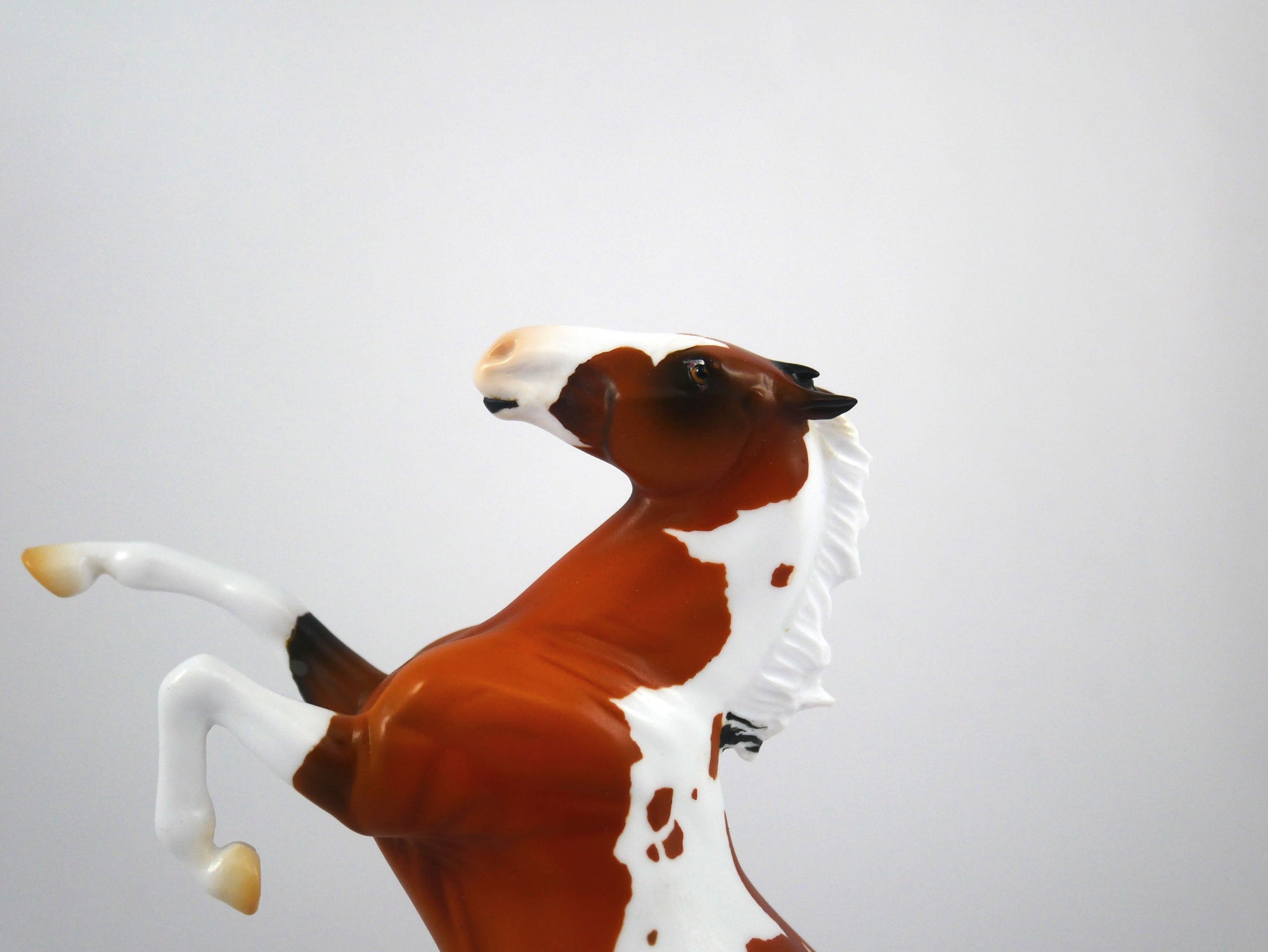 Aloha-OOAK Rearing Pebbles Paint By Ellen Robbins 12/30/20