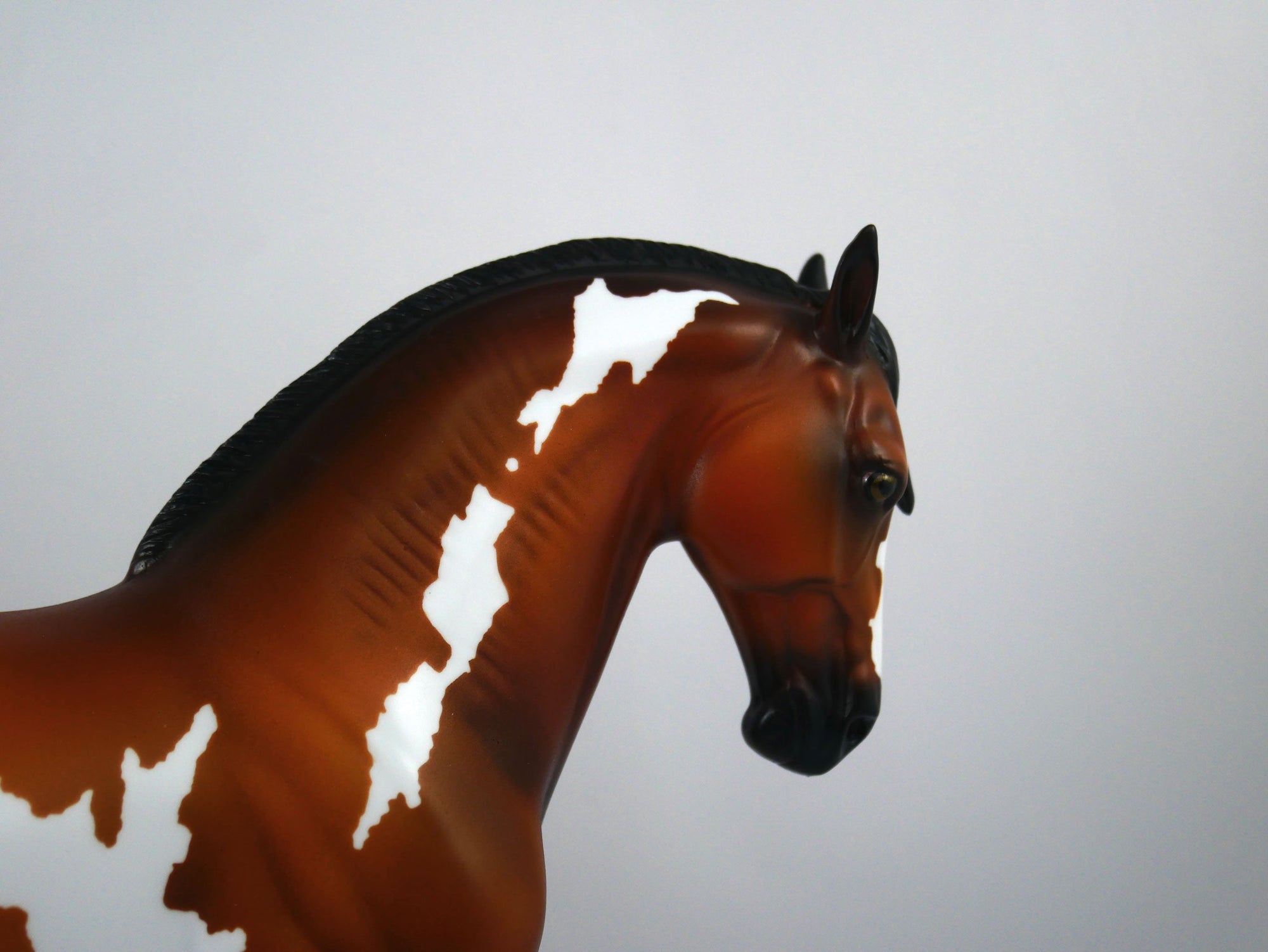 Arrivederci-OOAK Bay Paint Andalusian Painted By Ellen Robbins 12/30/20