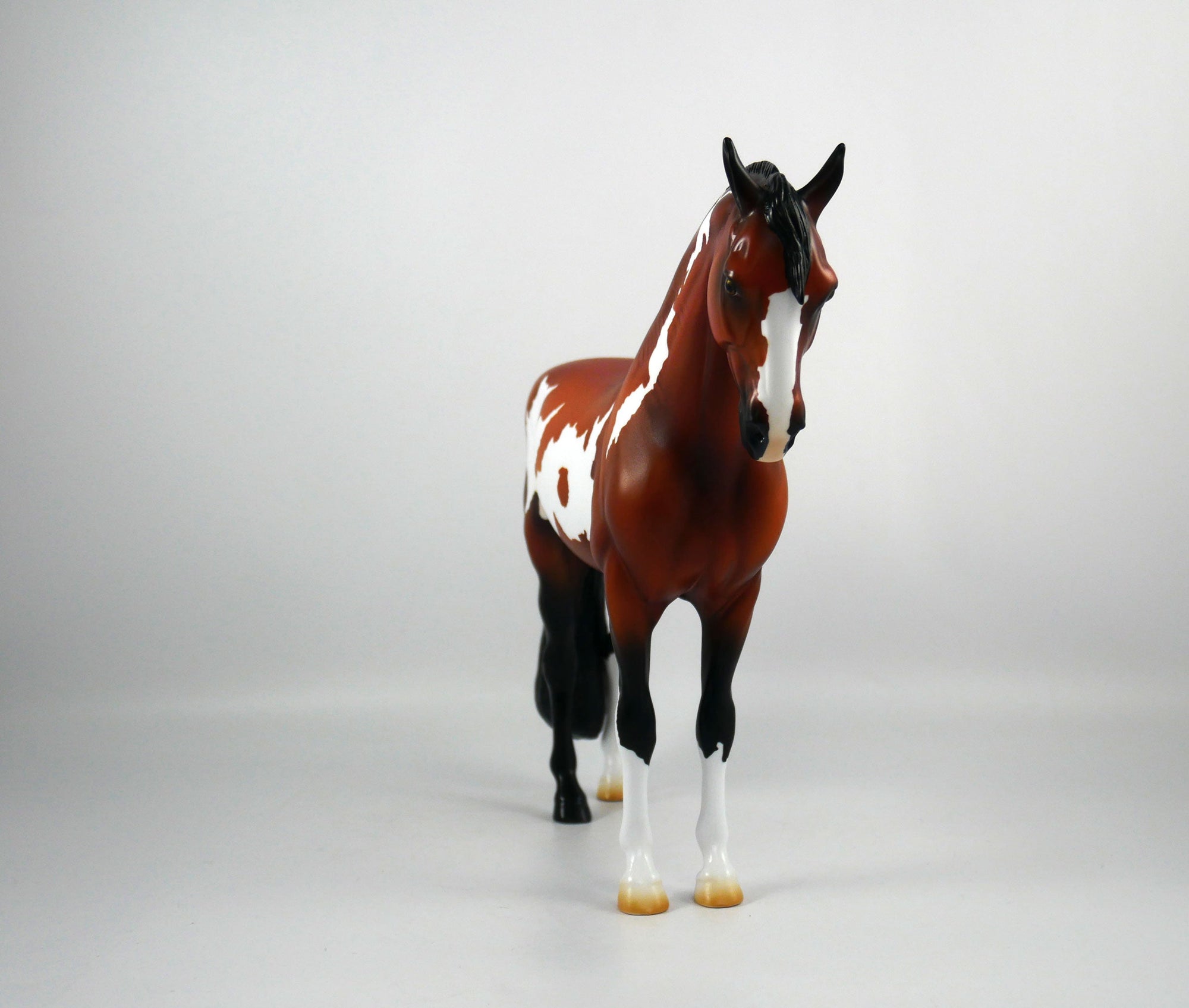 Arrivederci-OOAK Bay Paint Andalusian Painted By Ellen Robbins 12/30/20