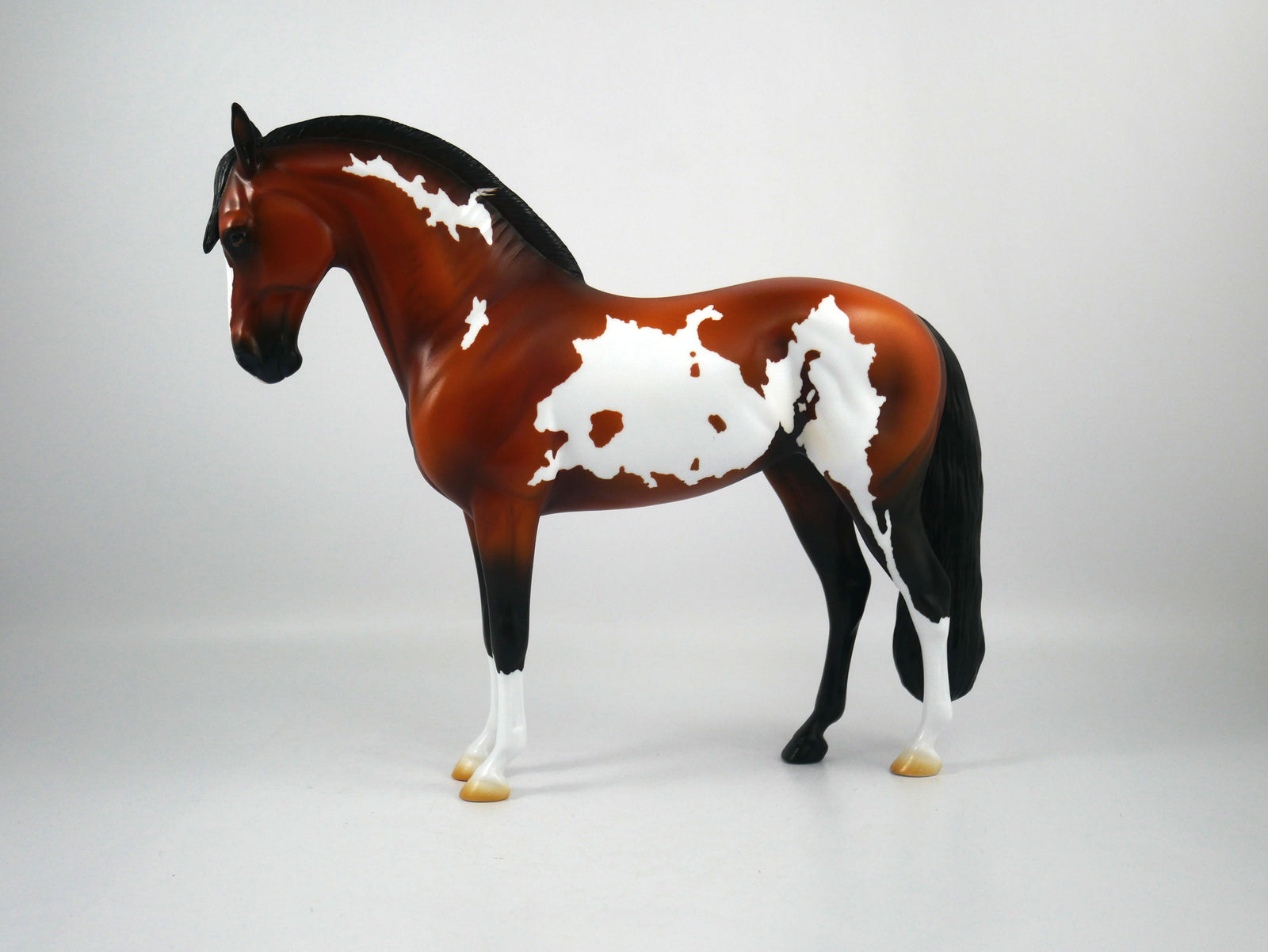 Arrivederci-OOAK Bay Paint Andalusian Painted By Ellen Robbins 12/30/20