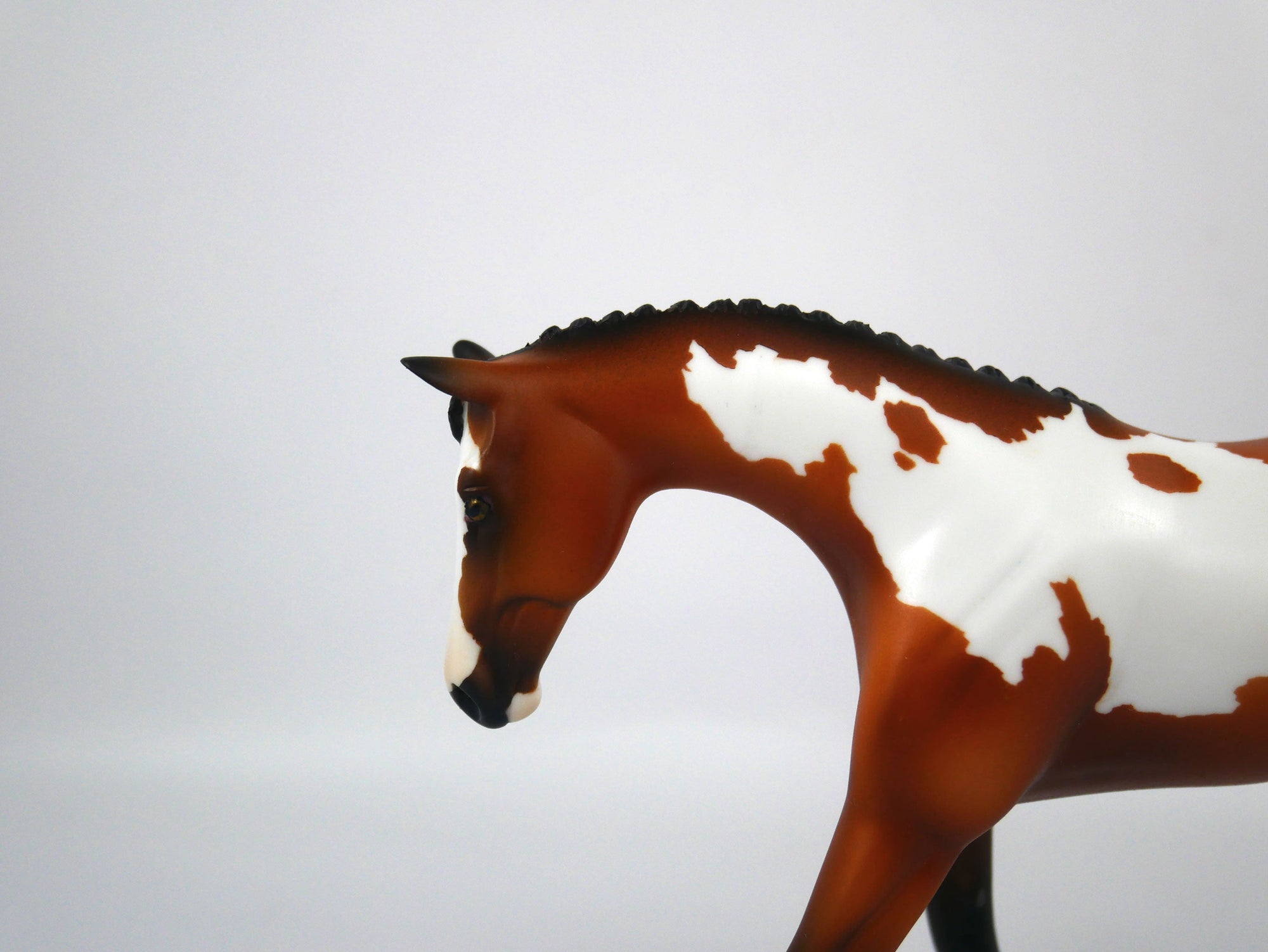 Au Revoir-OOAK Bay Paint Warmblood Pebbles Paint By Ellen Robbins 12/30/20