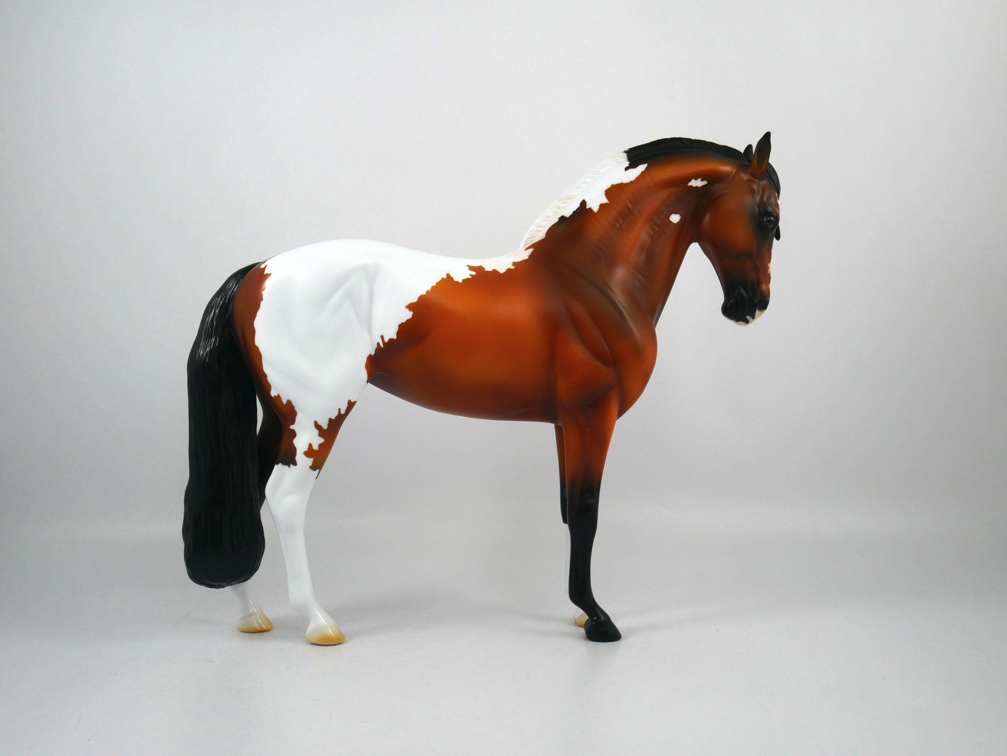 CIAO-OOAK Bay Paint Andalusian Painted By Ellen Robbins 12/30/20