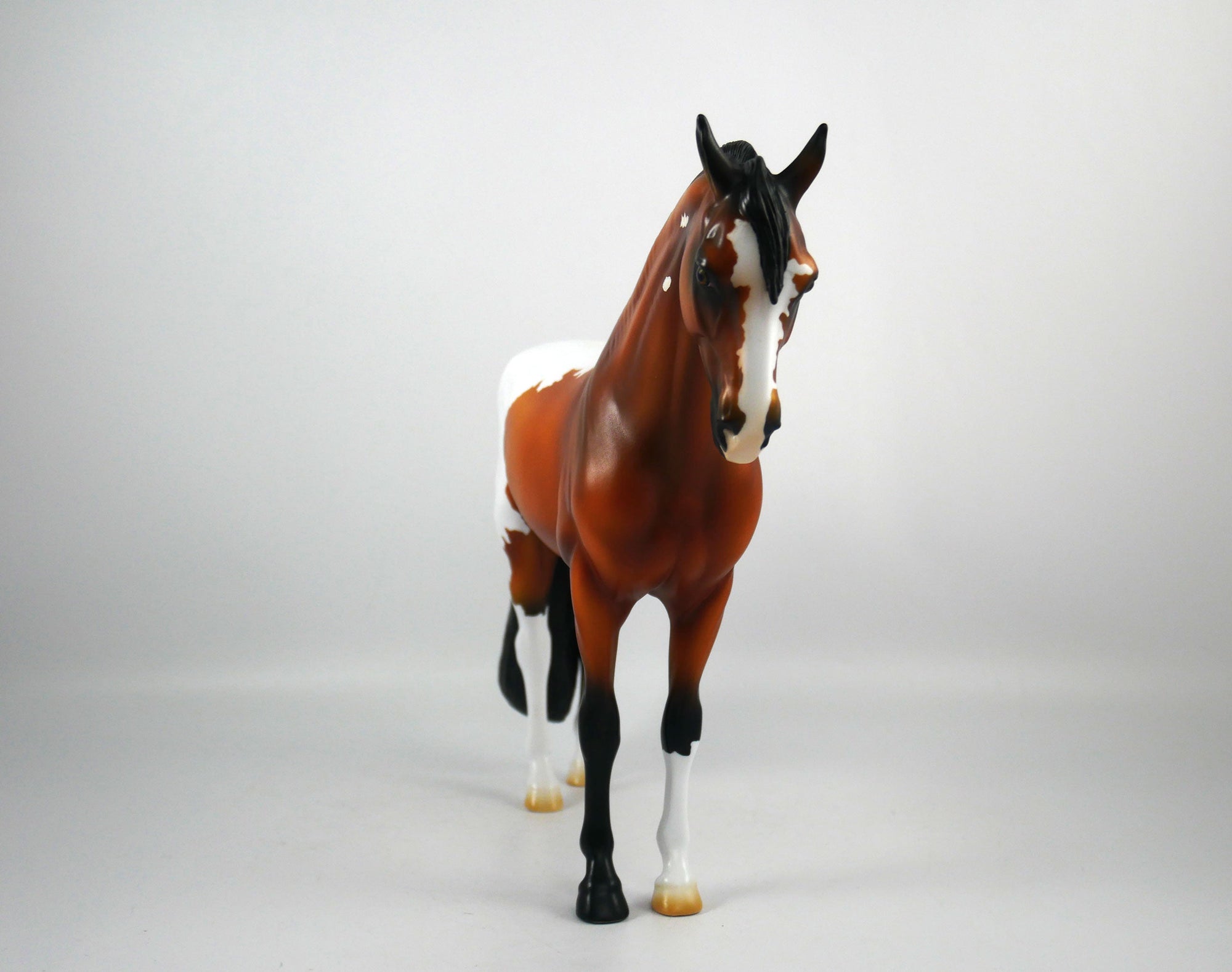 CIAO-OOAK Bay Paint Andalusian Painted By Ellen Robbins 12/30/20