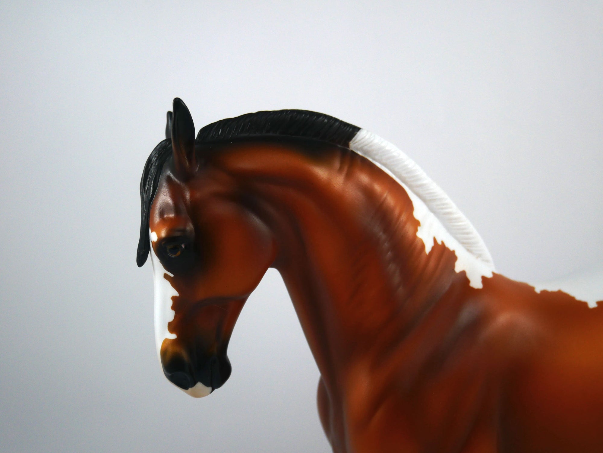 CIAO-OOAK Bay Paint Andalusian Painted By Ellen Robbins 12/30/20