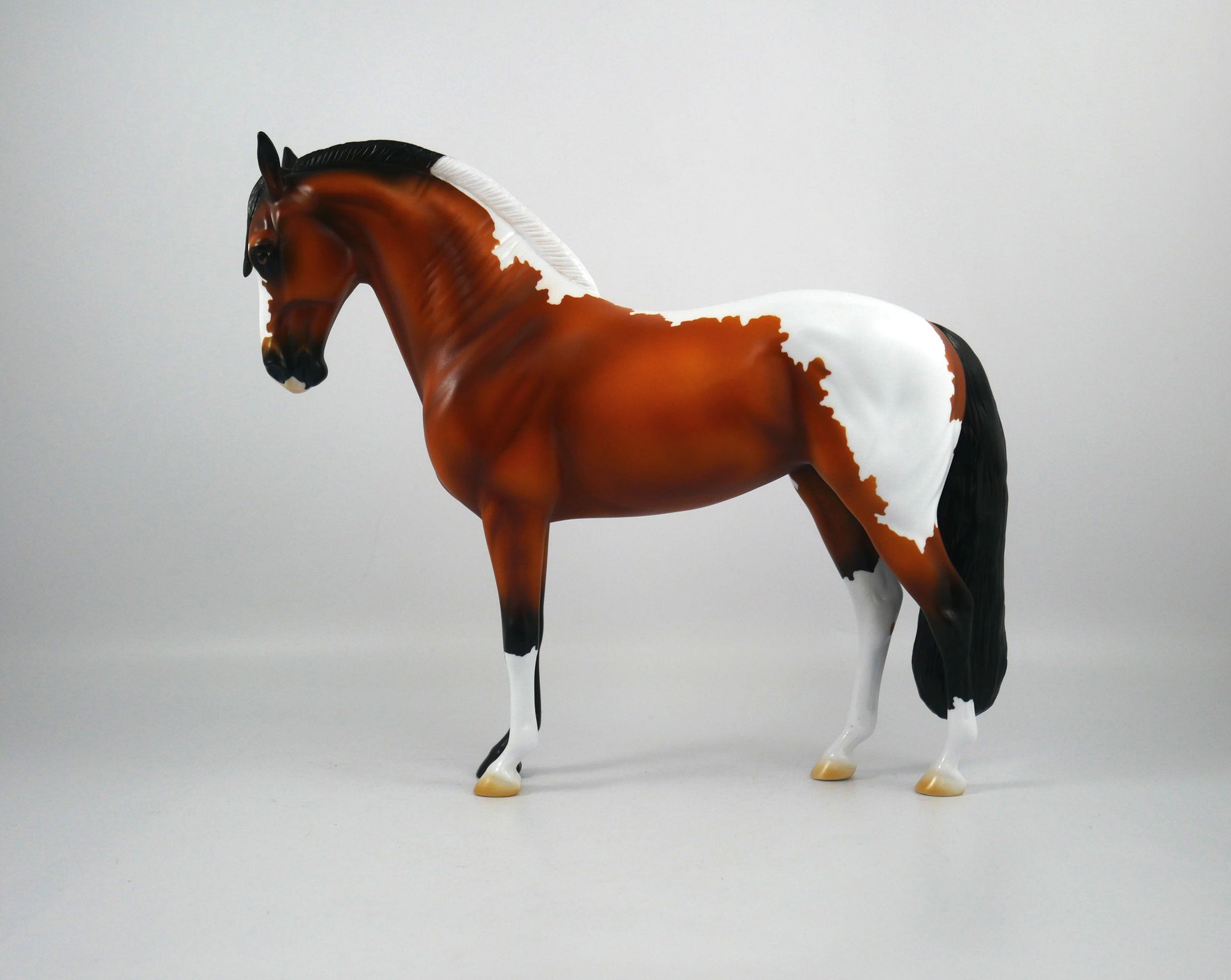 CIAO-OOAK Bay Paint Andalusian Painted By Ellen Robbins 12/30/20