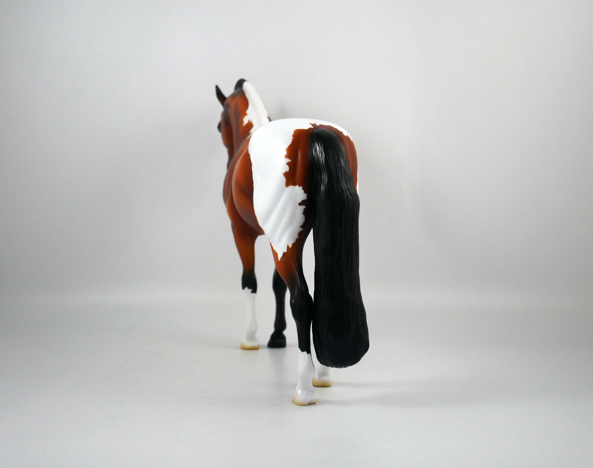 CIAO-OOAK Bay Paint Andalusian Painted By Ellen Robbins 12/30/20