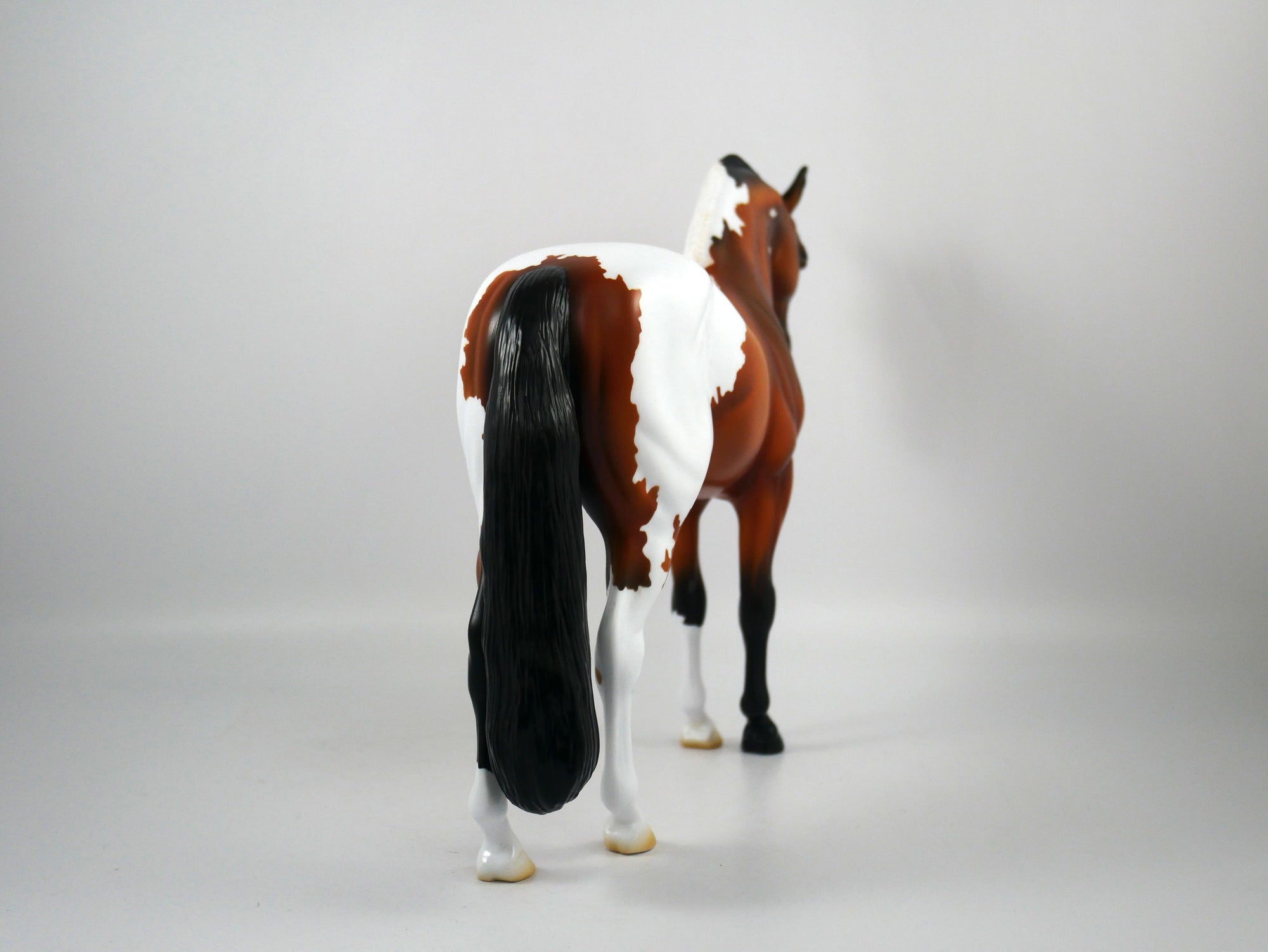 CIAO-OOAK Bay Paint Andalusian Painted By Ellen Robbins 12/30/20