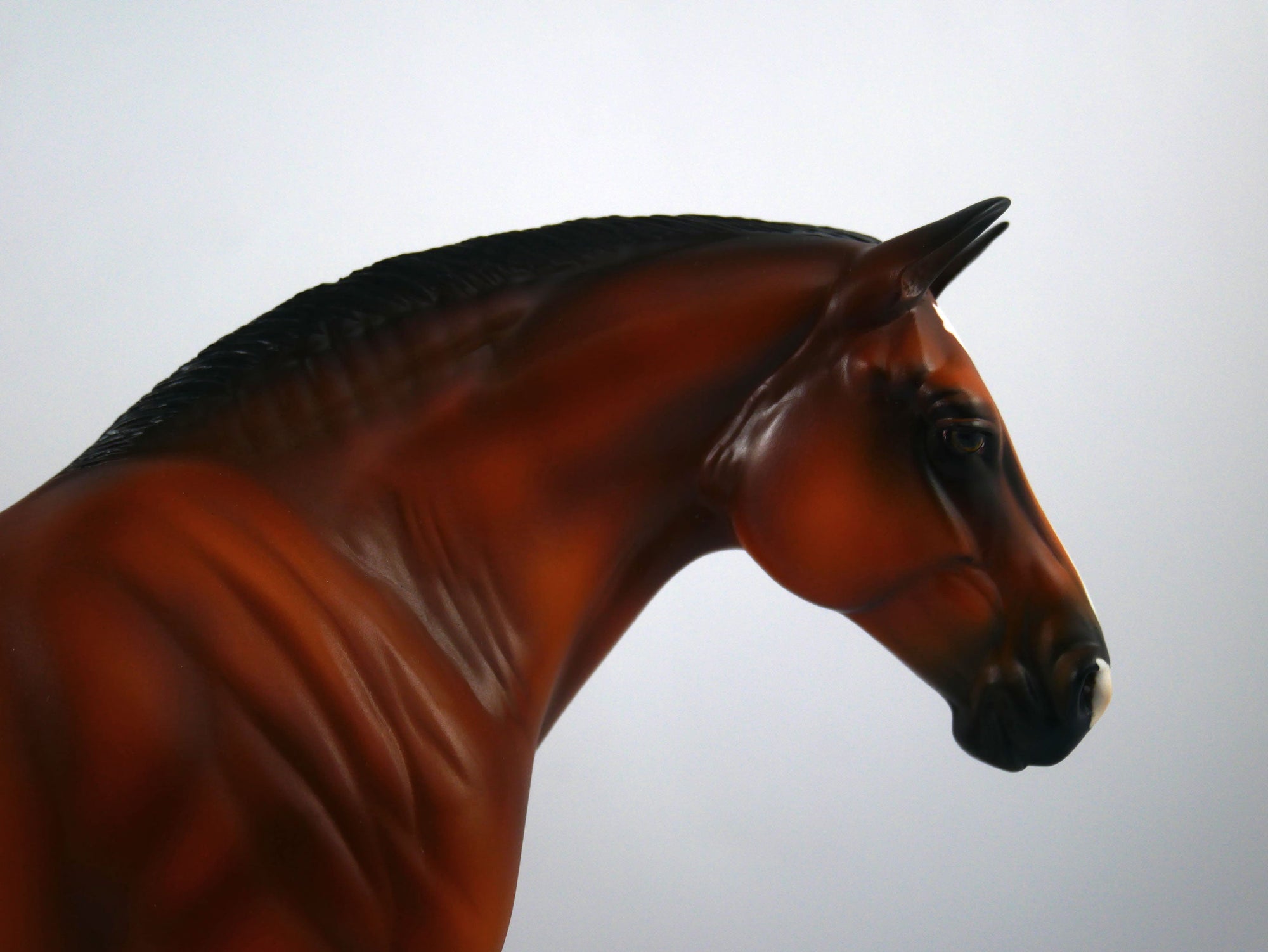 Sayonora-OOAK Bay Paint Heavy Draft Mare Painted By Ellen Robbins 12/30/20