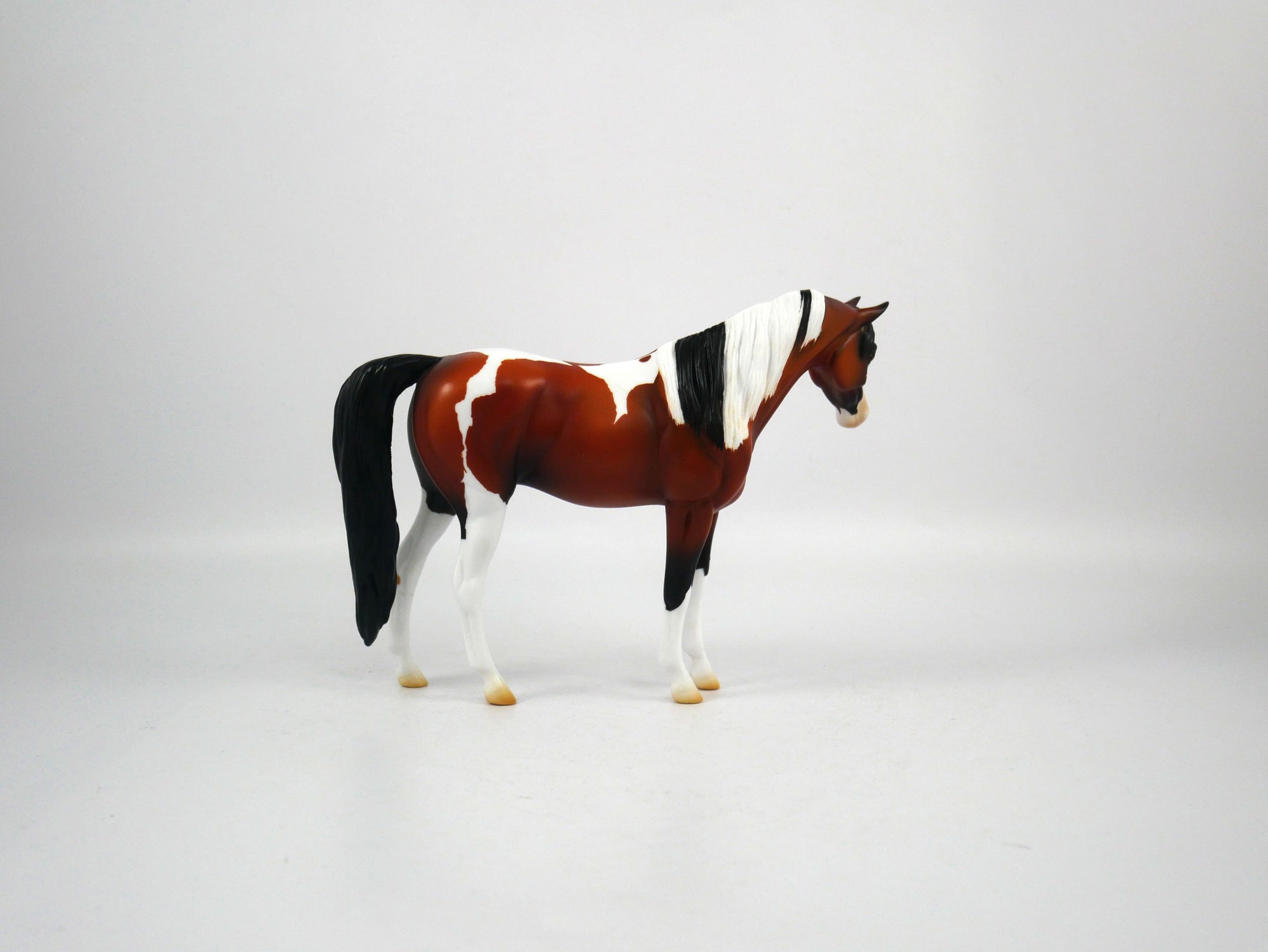 Namaste-AOOK Bay Paint Arabian Pebbles Painted By Ellen Robbins 12/30/20