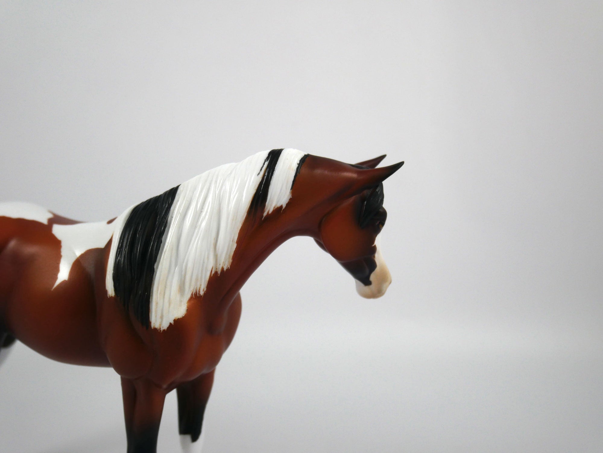 Namaste-AOOK Bay Paint Arabian Pebbles Painted By Ellen Robbins 12/30/20