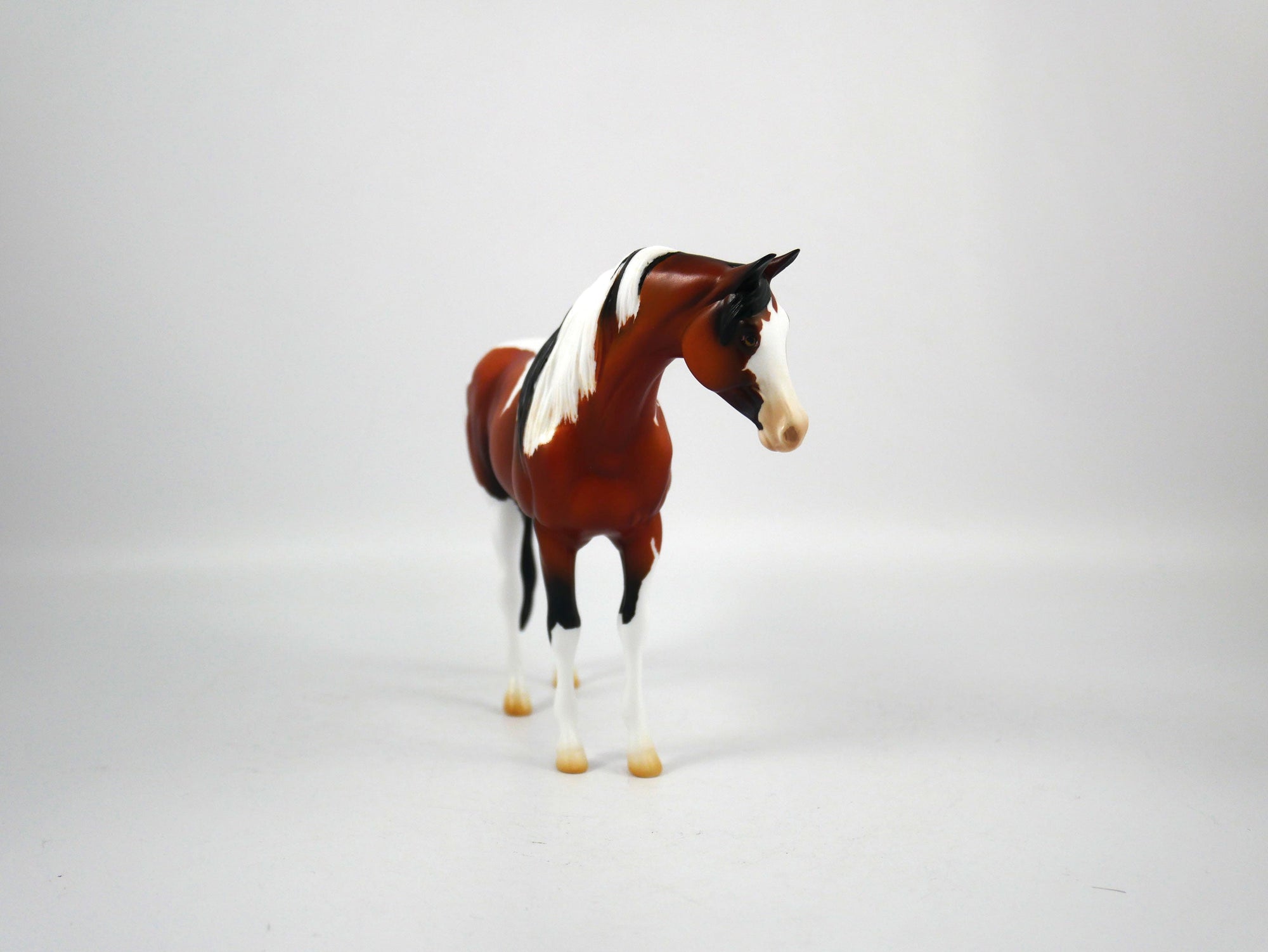 Namaste-AOOK Bay Paint Arabian Pebbles Painted By Ellen Robbins 12/30/20