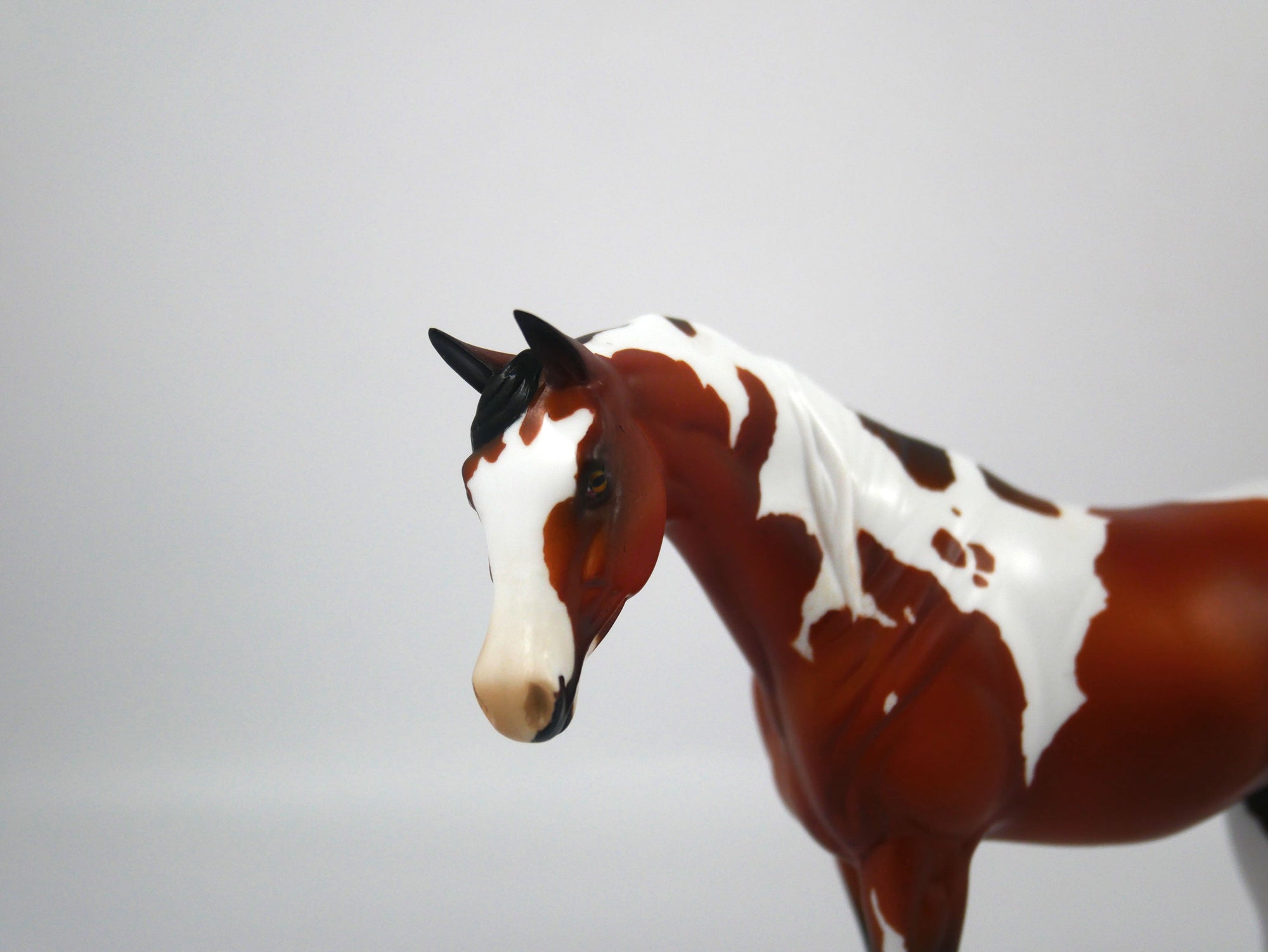 Namaste-AOOK Bay Paint Arabian Pebbles Painted By Ellen Robbins 12/30/20