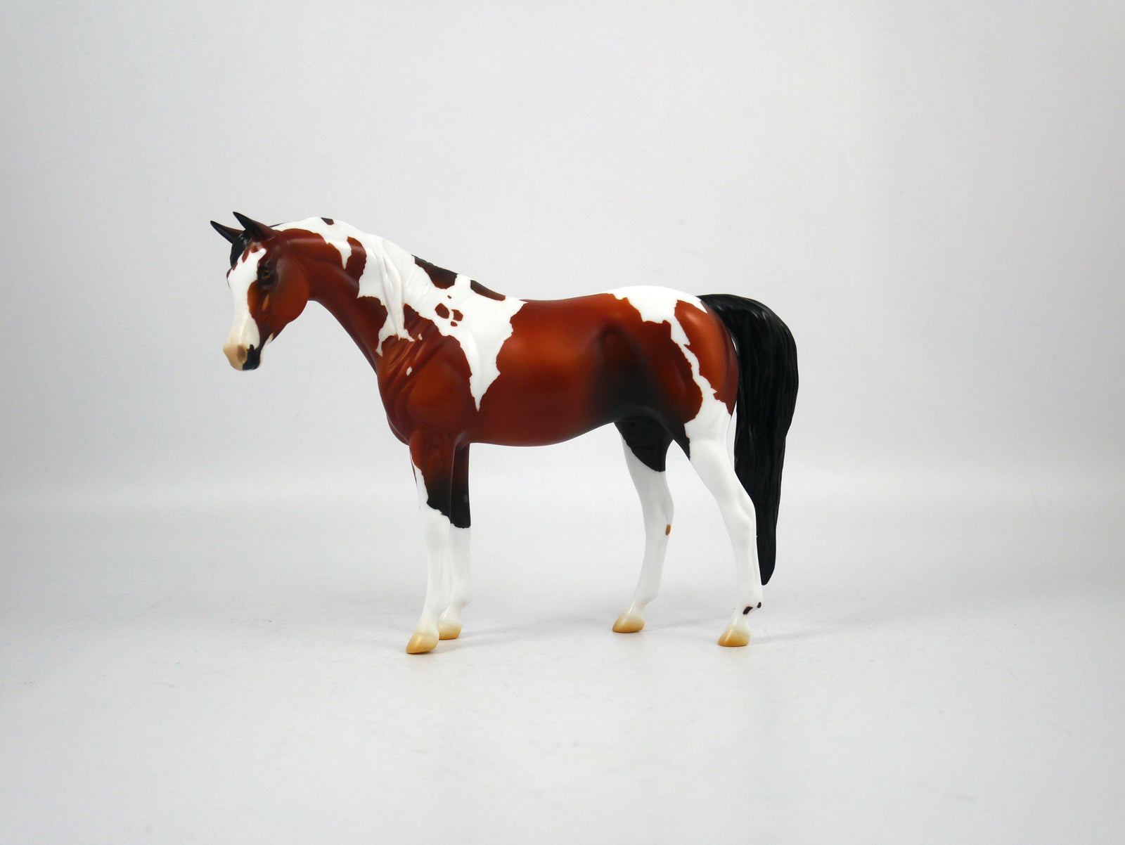 Namaste-AOOK Bay Paint Arabian Pebbles Painted By Ellen Robbins 12/30/20