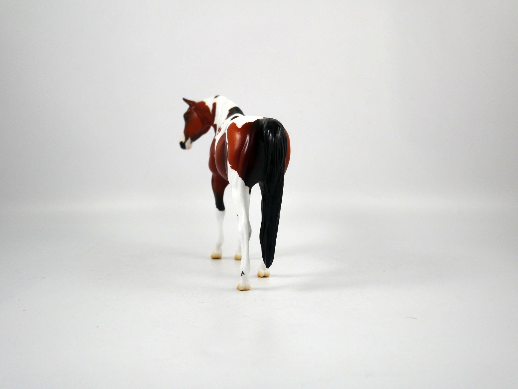 Namaste-AOOK Bay Paint Arabian Pebbles Painted By Ellen Robbins 12/30/20