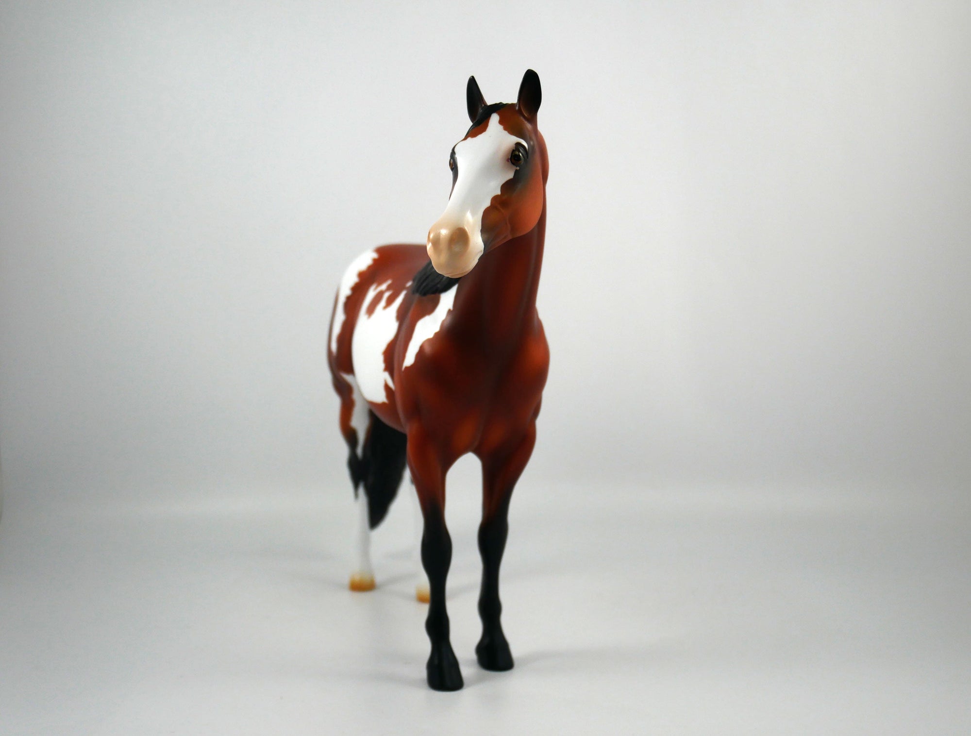 New Beginnings-OOAK Bay Paint ISH Painted by Ellen Robbins 12/30/20