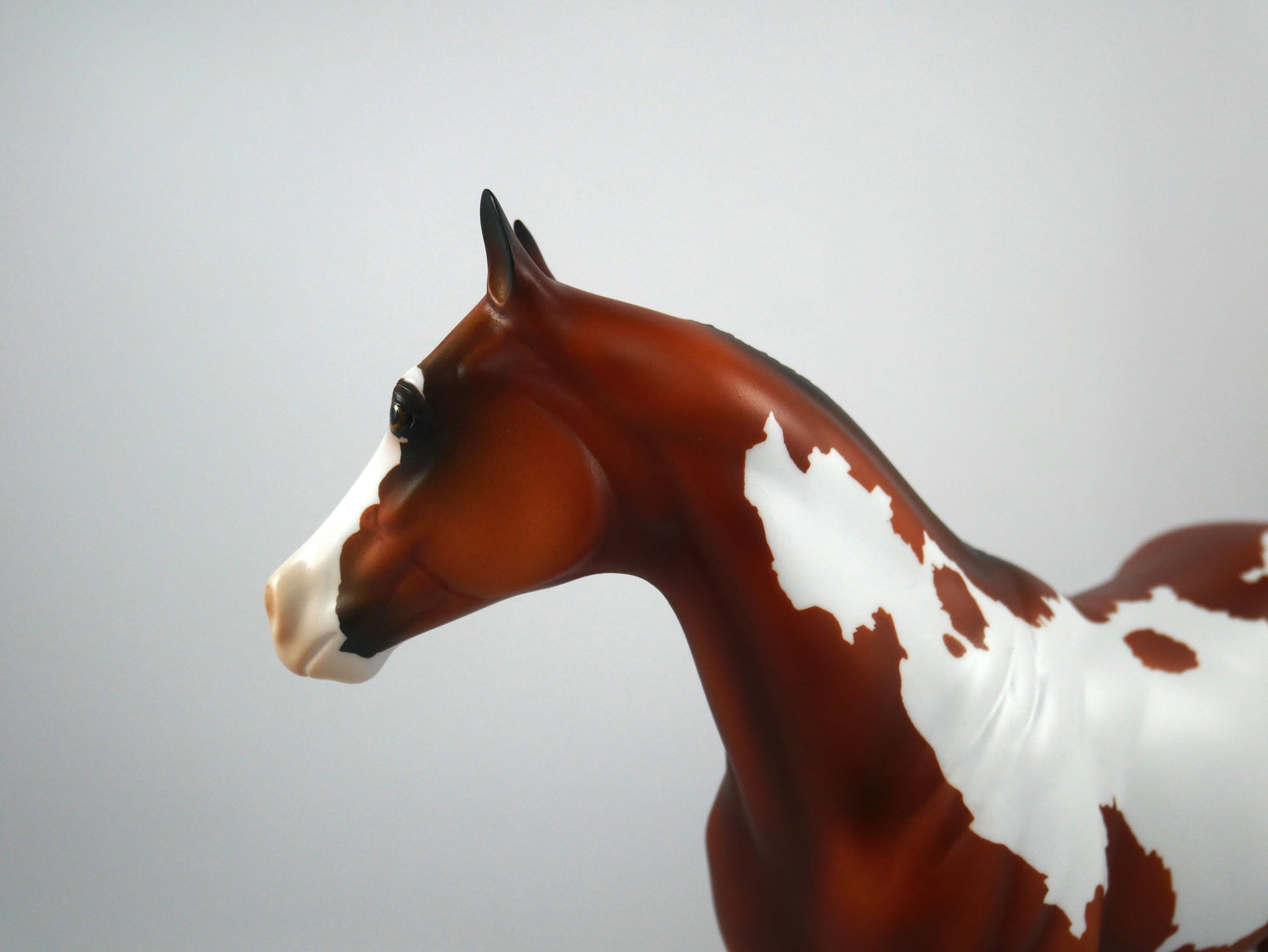 New Beginnings-OOAK Bay Paint ISH Painted by Ellen Robbins 12/30/20