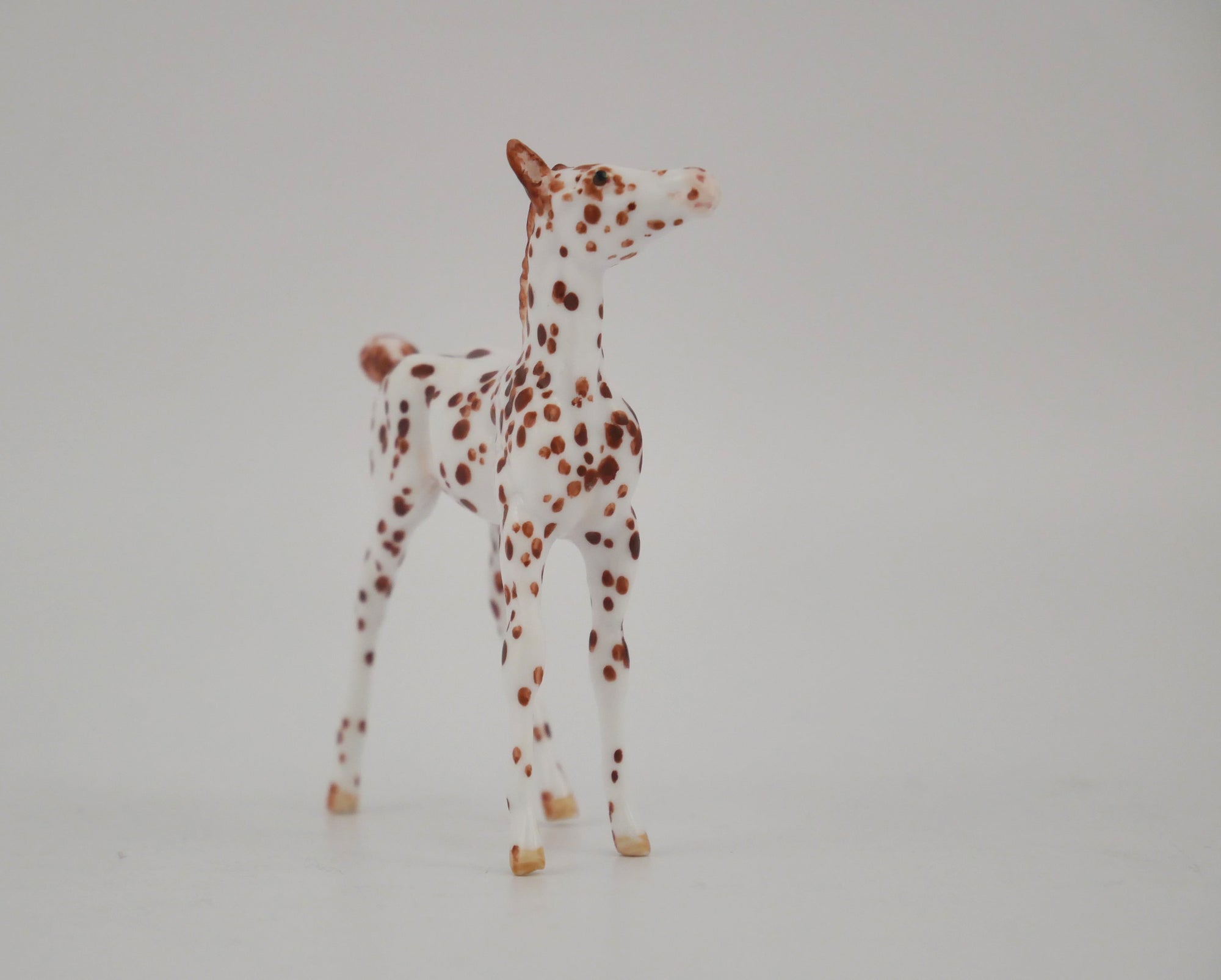 EMBERWHIRL -OOAK CHESTNUT LEOPARD APPALOOSA FOAL BY ANDREA