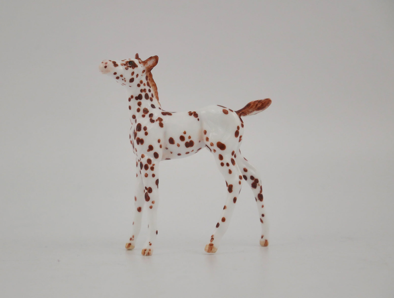 EMBERWHIRL -OOAK CHESTNUT LEOPARD APPALOOSA FOAL BY ANDREA