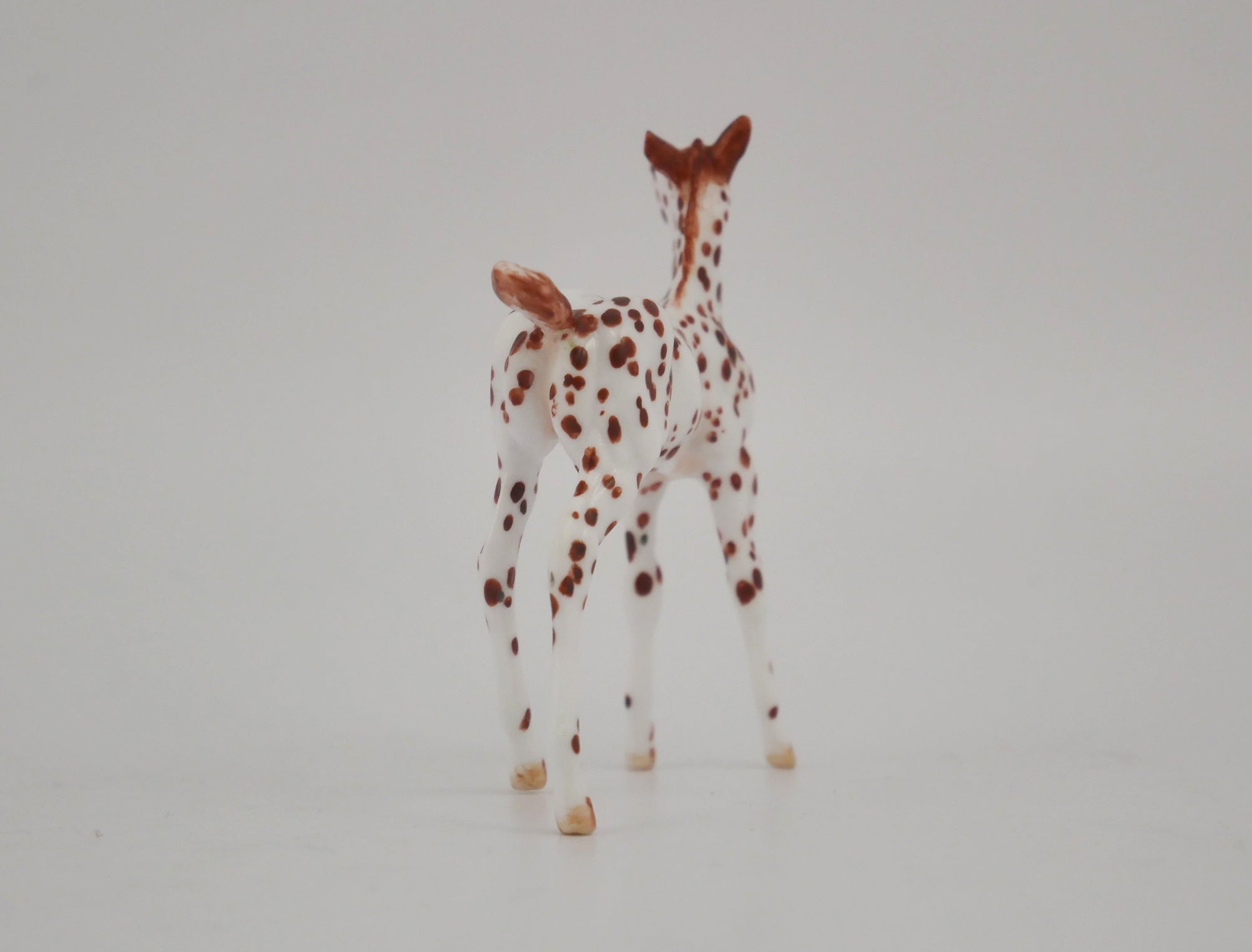 EMBERWHIRL -OOAK CHESTNUT LEOPARD APPALOOSA FOAL BY ANDREA