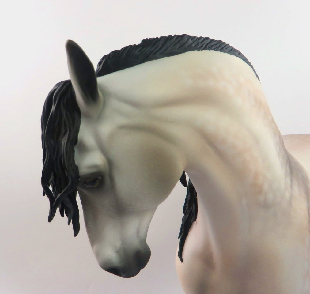 EMPORIO-OOAK DAPPLE ROSE GREY ANDALUSIAN BY AUDREY DIXON-WHS 19