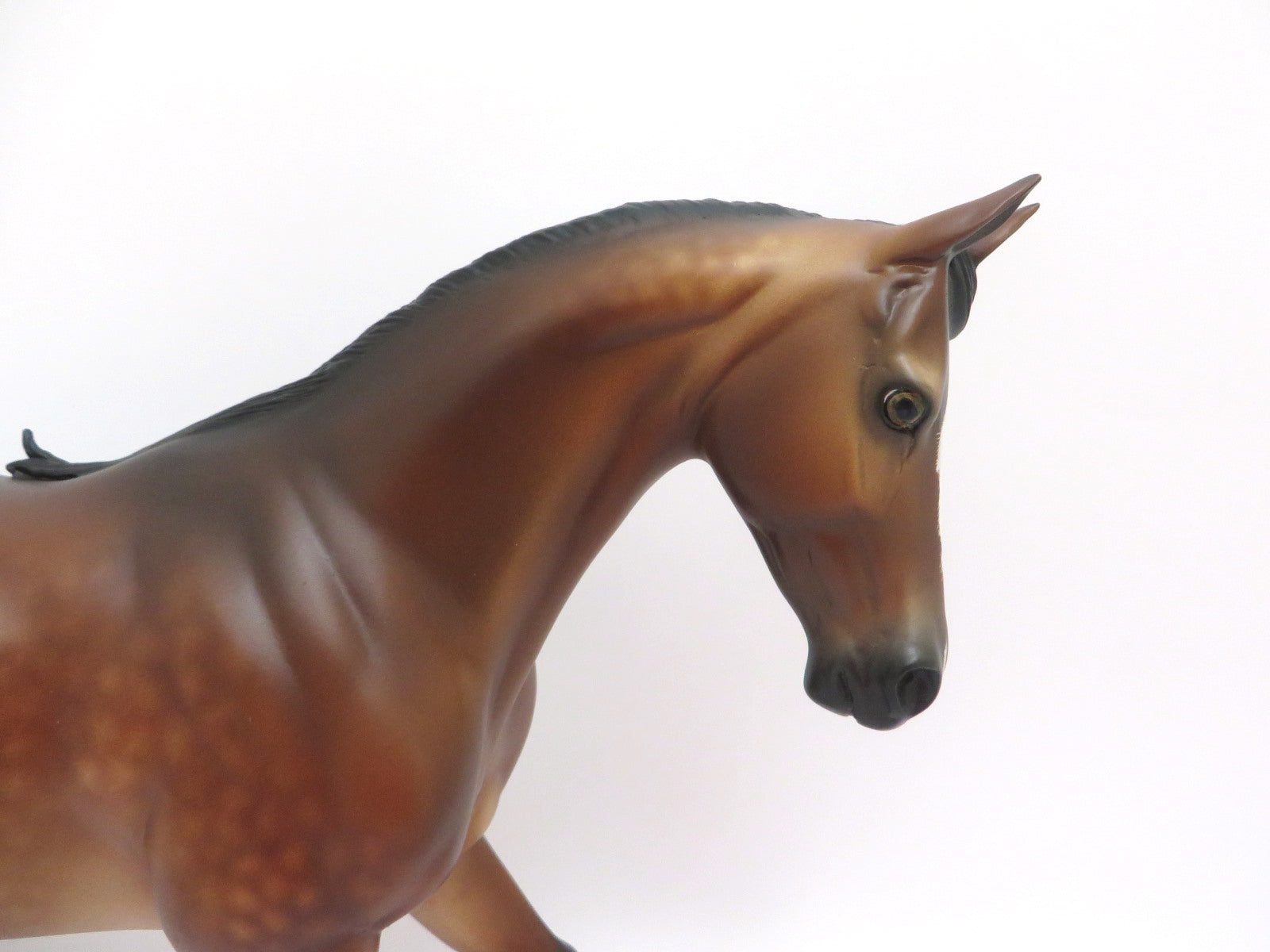 EN SERIO-OOAK STAR DAPPLE BAY THOROUGHBRED BY SHERYL LEISURE 3/11/20