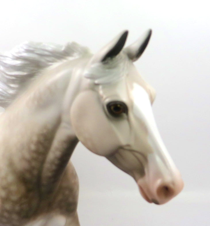 ENTICING-OOAK DAPPLE GREY PALOUSE BY SHERYL LEISURE 12/27/19