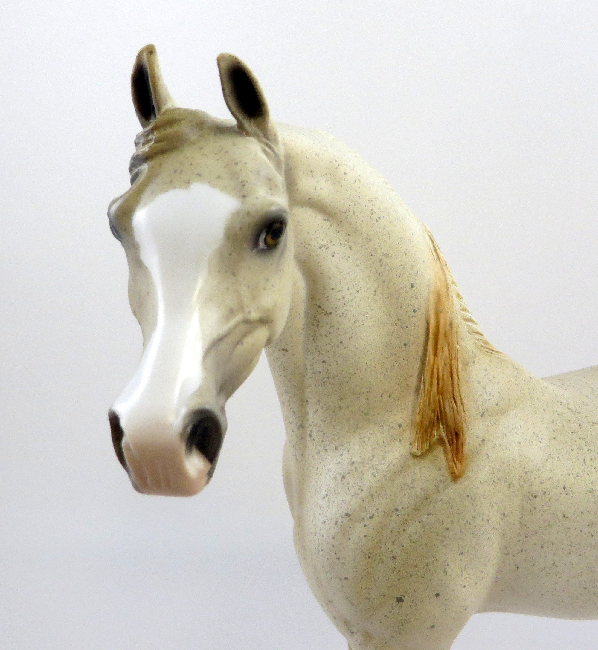 EUDES-OOAK FLEA BIT CHESTNUT ARABIAN MODEL HORSE EQ 19