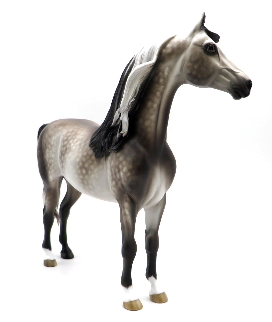 EXPEDIATED EXAGGERATION-OOAK DAPPLE GREY MORGAN BY SHERYL LEISURE 1/17/21