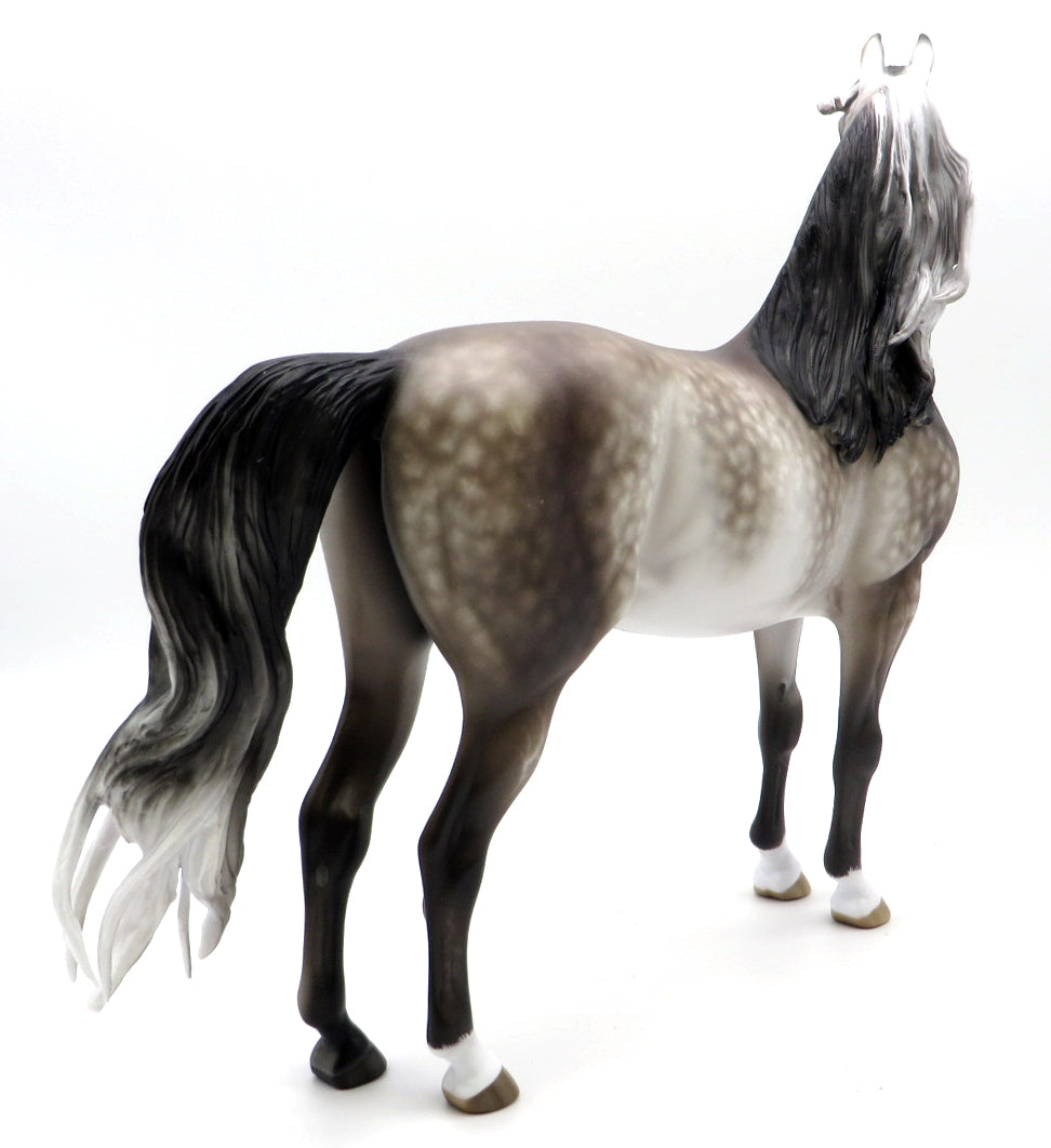 EXPEDIATED EXAGGERATION-OOAK DAPPLE GREY MORGAN BY SHERYL LEISURE 1/17/21