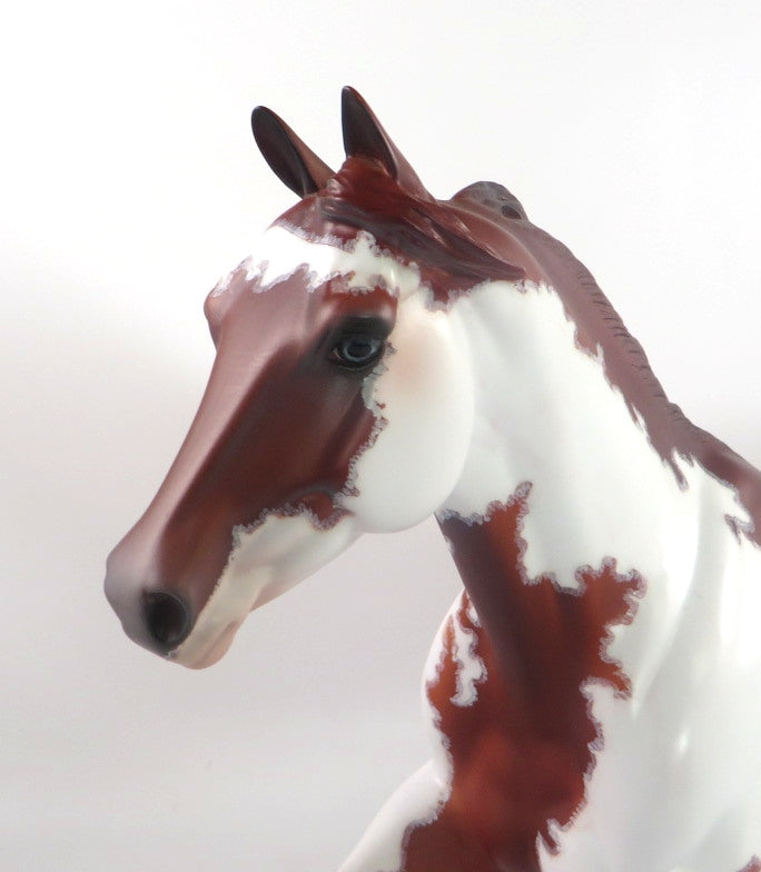 EYE OF THE STORM - OOAK DAPPLE CHESTNUT PINTO FOUNDATION QUARTER HORSE BY DAWN QUICK SB20